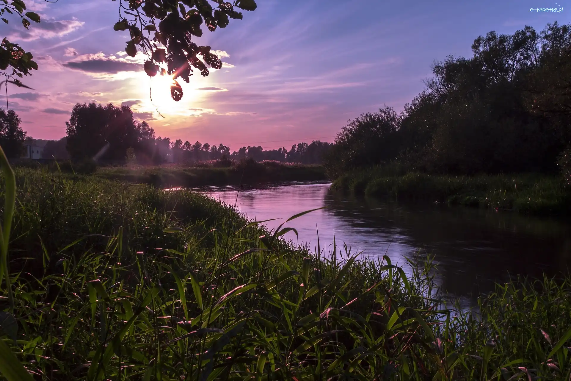 Rzeka, Słońca, Zachód, Drzewa, Trawa