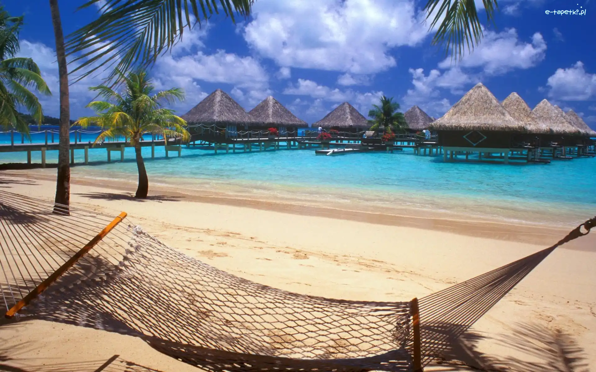Bora Bora, Palmy, Ocean, Palach, Molo, Domy, Na, Plaża, Hamak, Wyspa