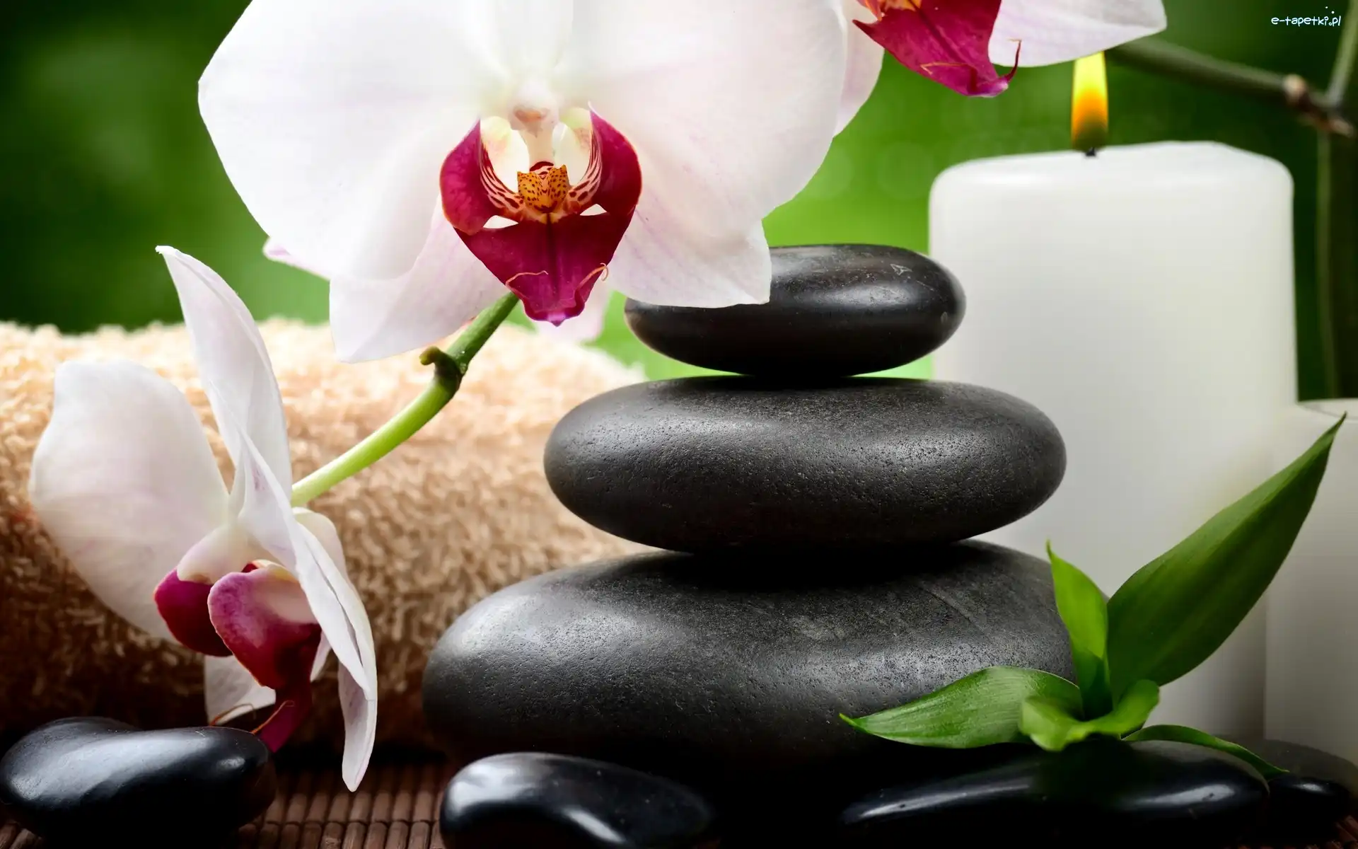 Orchidea, Kamienie, Świeca, Kompozycja Świeca, SPA