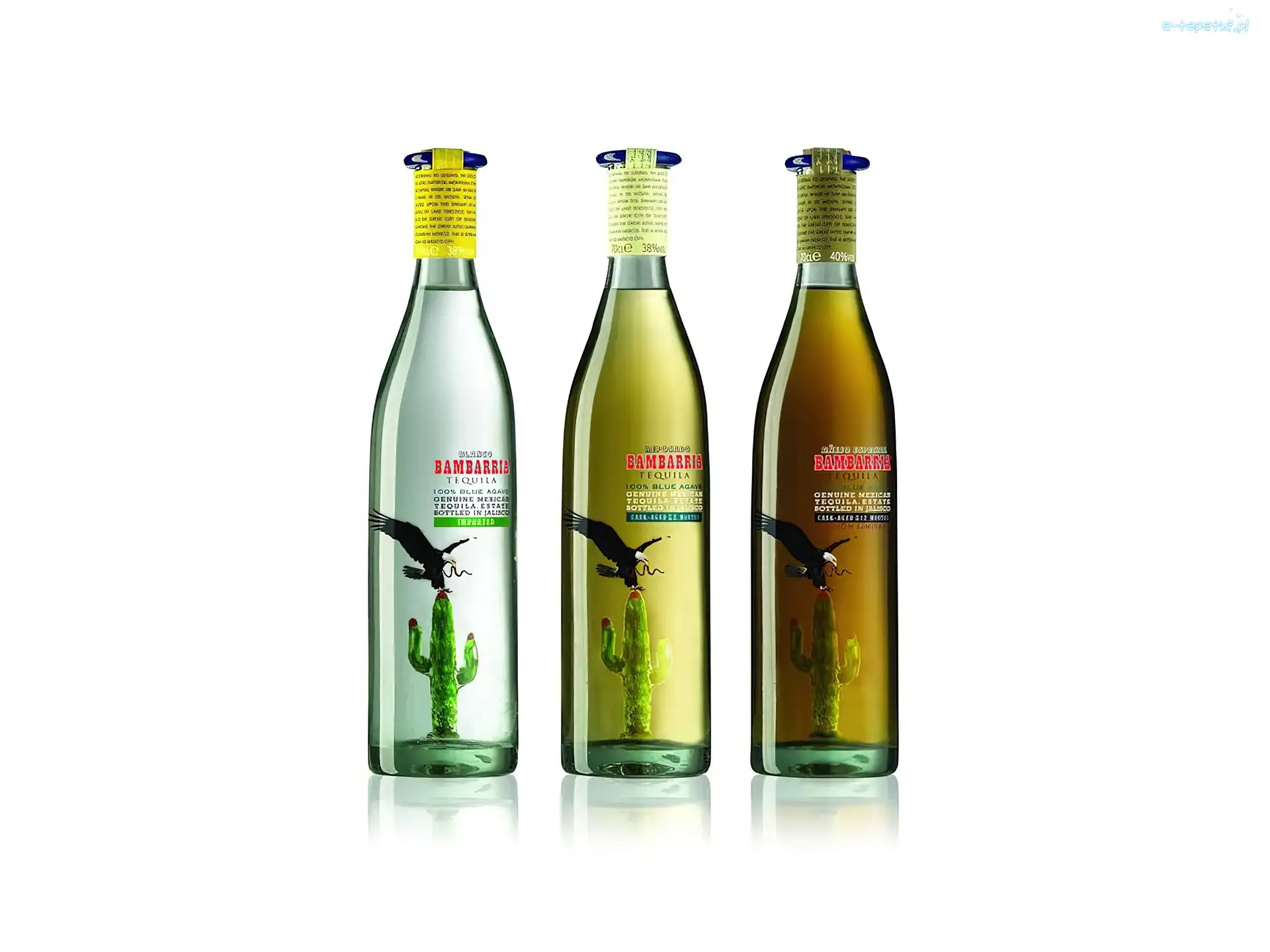 kaktusy, Tequila