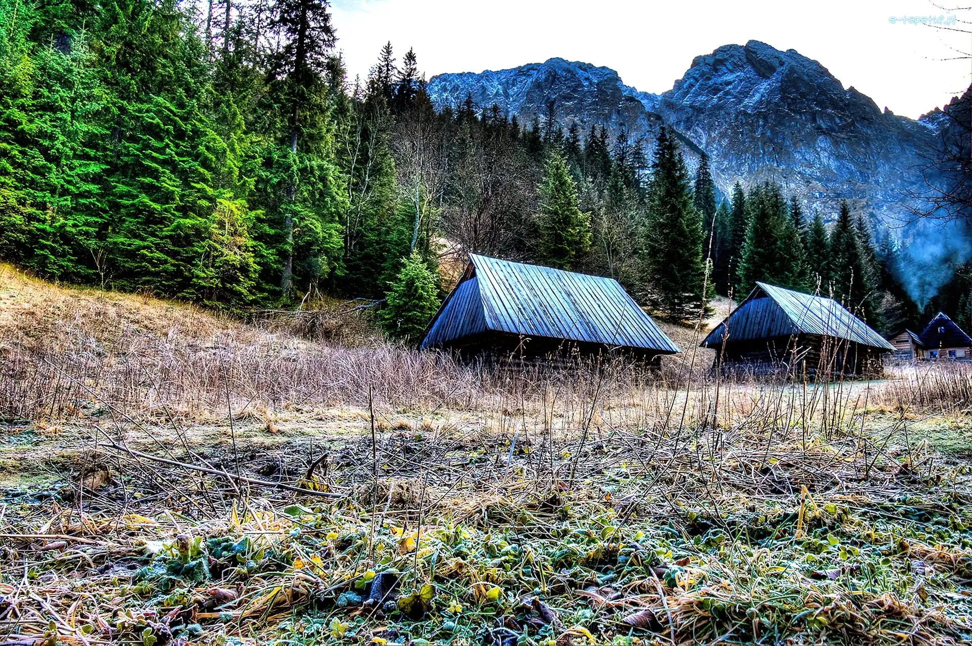 Domy, Góry, Domki, Las, Tatry, Polska