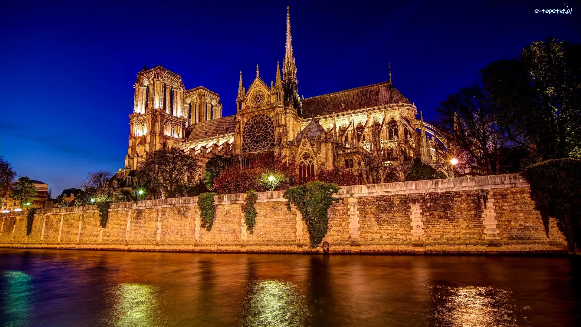 Oświetlona, Noc, Katedra Notre Dame, Francja, Paryż