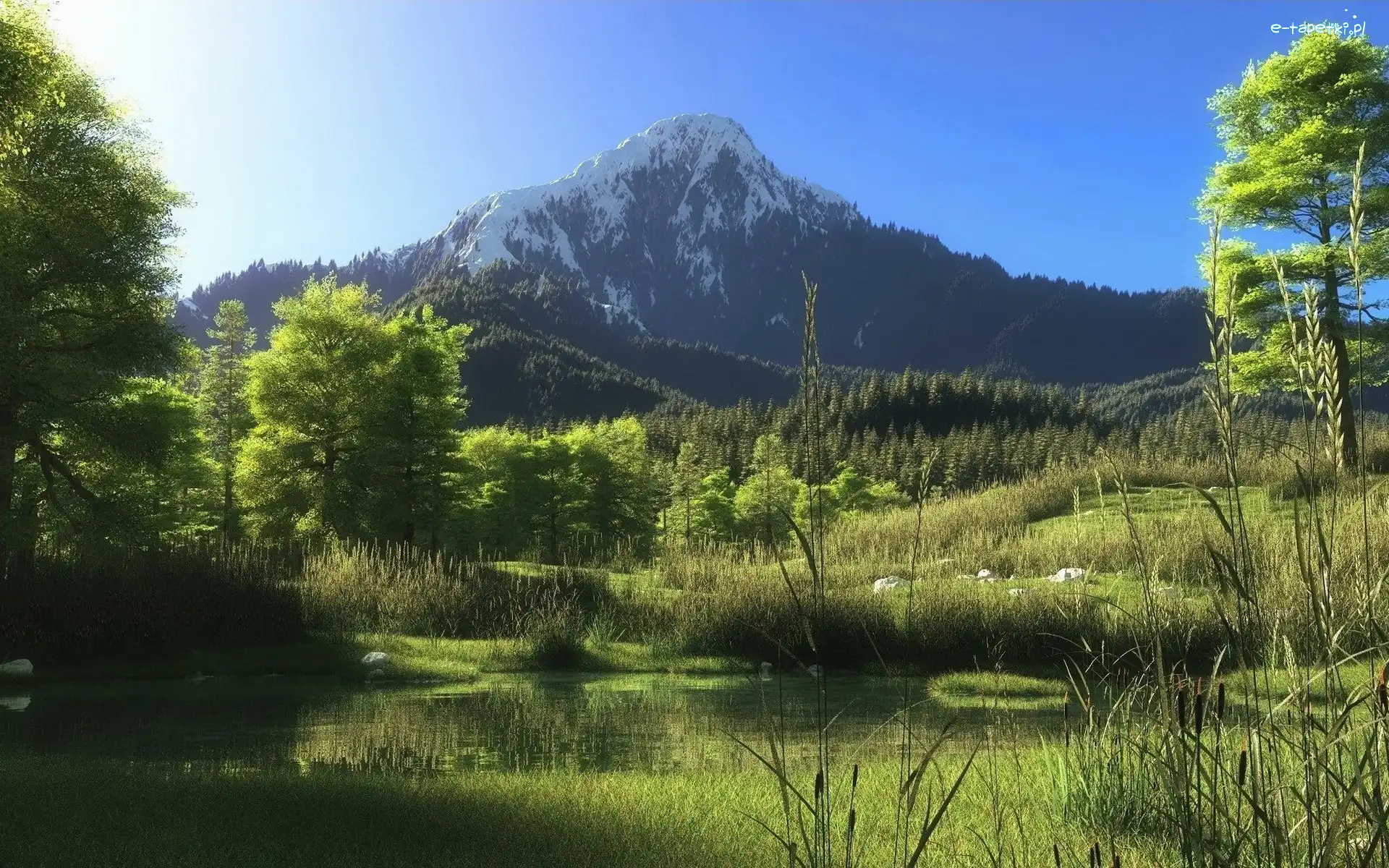 Bagna, Łąka, Góry