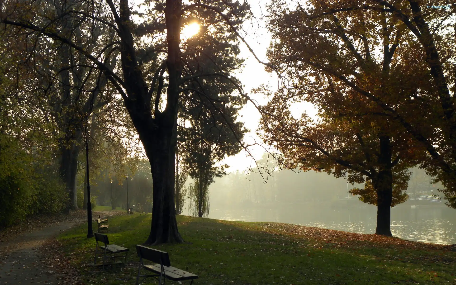 Ławki, Alejka, Poranek, Słońca, Rzeka, Mgła, Promienie, Park
