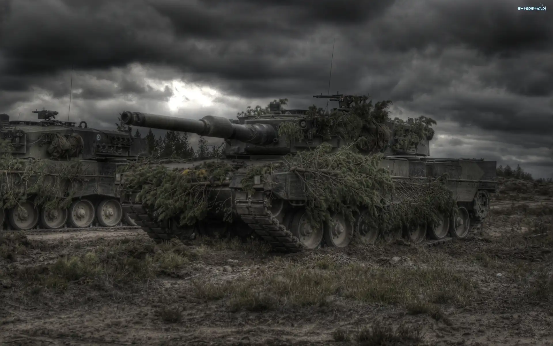 Kamuflaż, Leopard 2, Czołgi