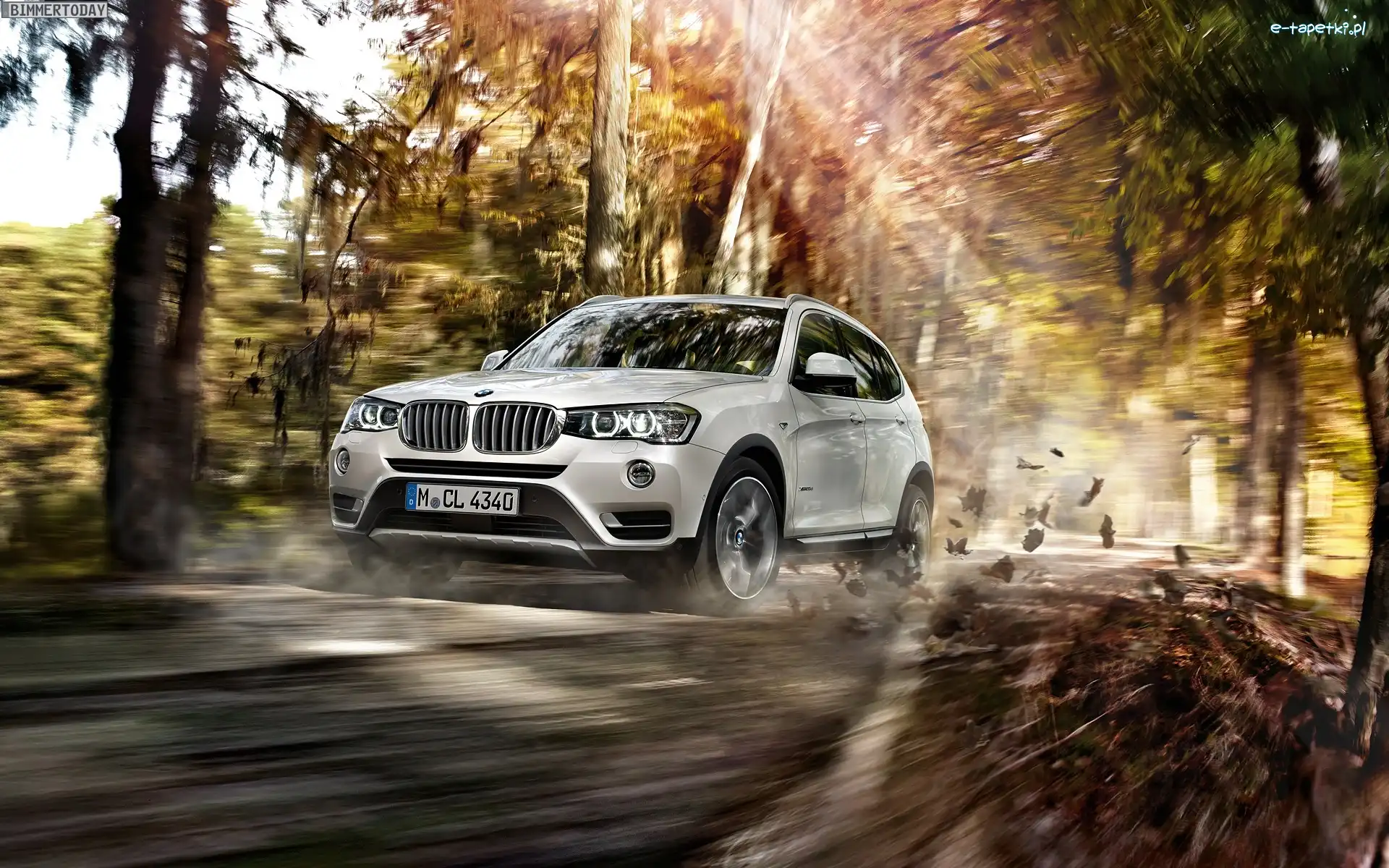 Drzewa, Droga, Bmw X3