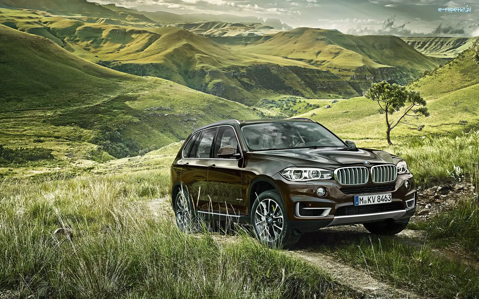 Zieleń, Góry, Bmw X5