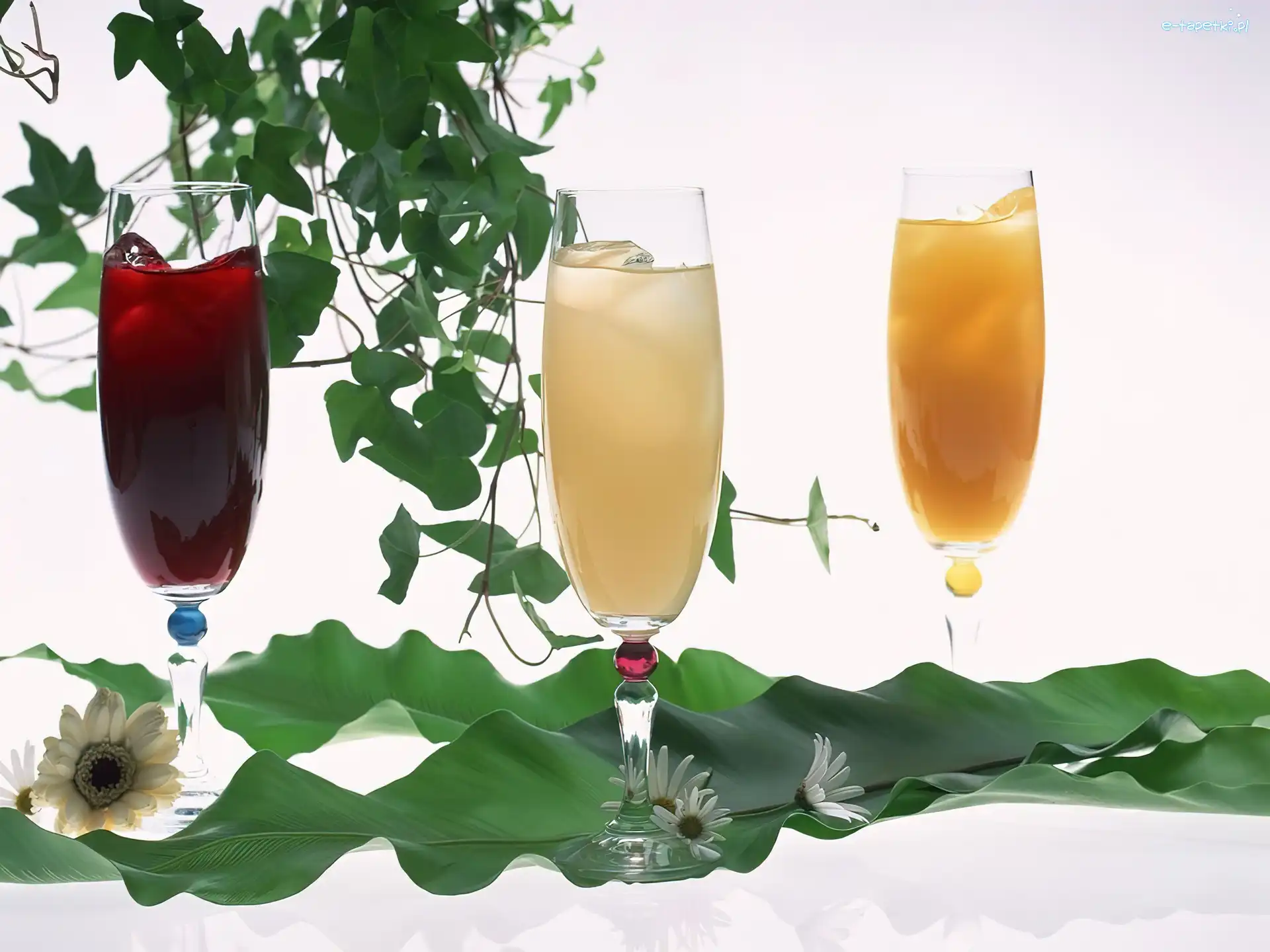 listki, Drinki