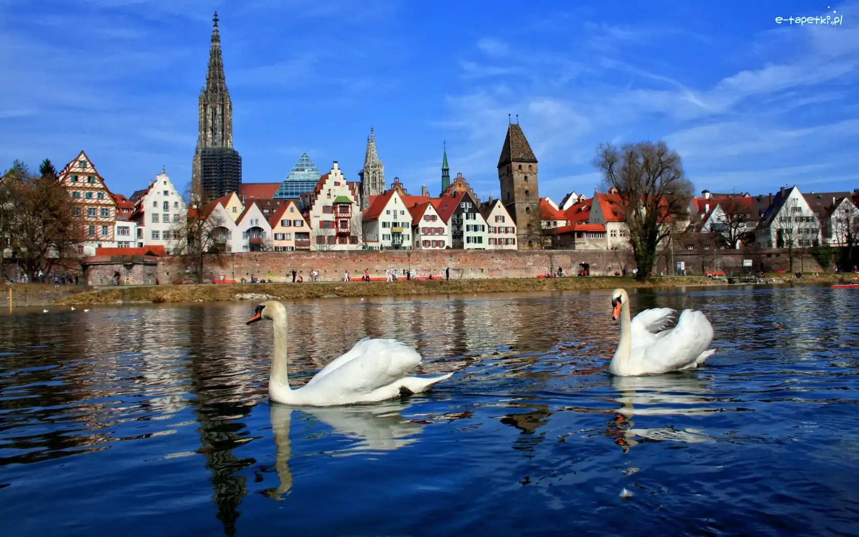 Miasteczko, Niemcy, Bawaria, Łabędzie