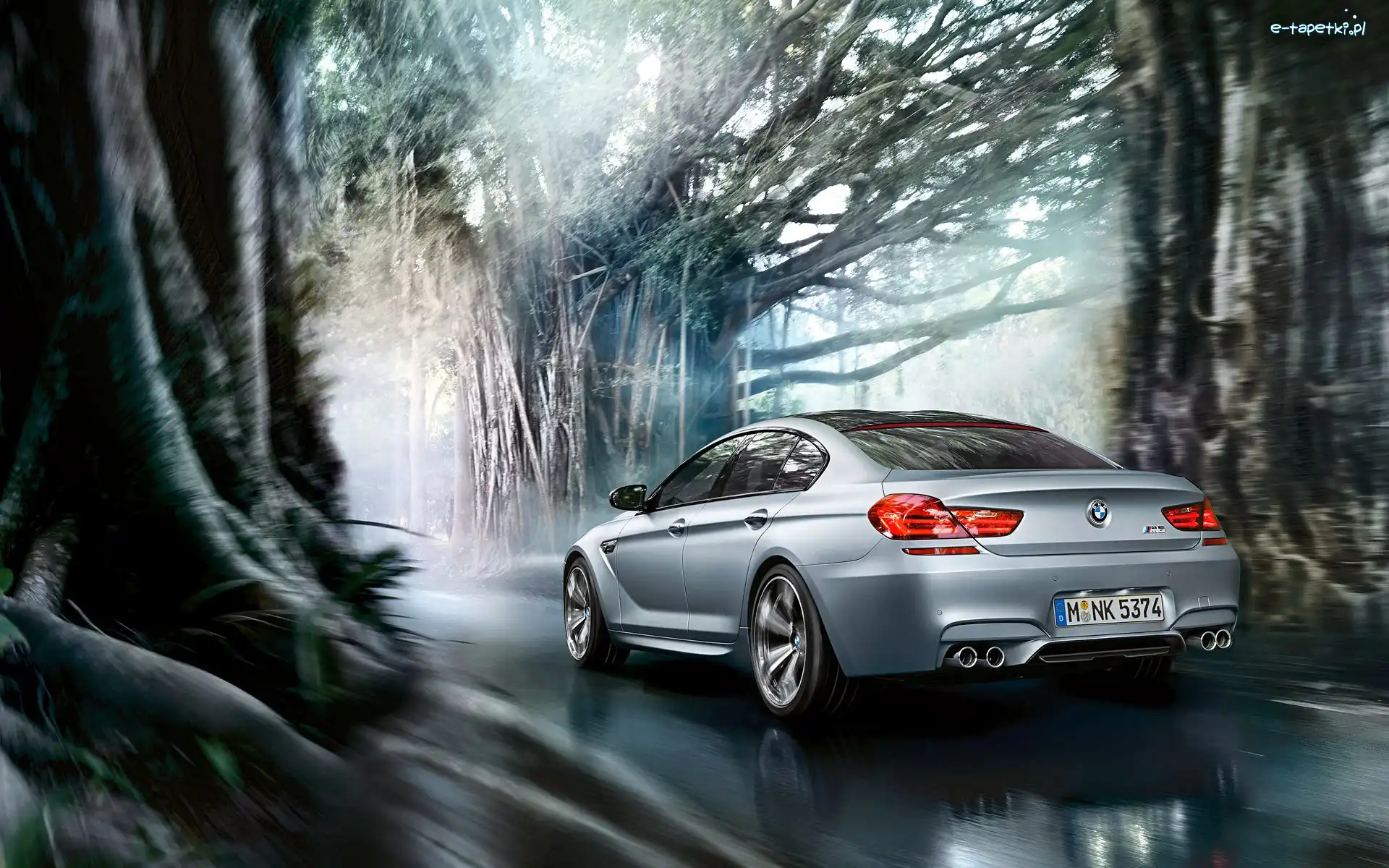 Drzewa, Droga, Bmw M6