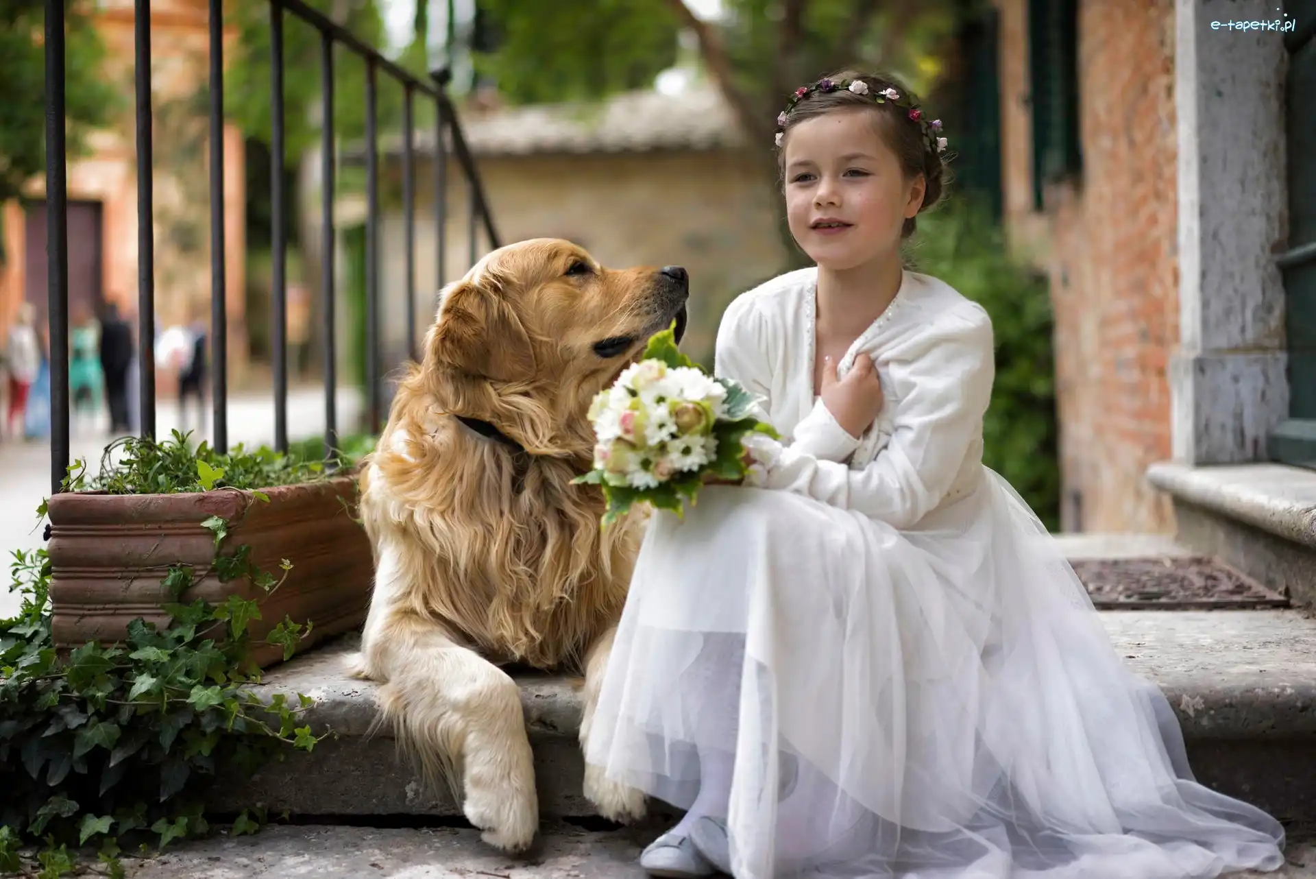 Dziewczynka, Golden Retriever, Piesek, Bukiecik, Kwiaty