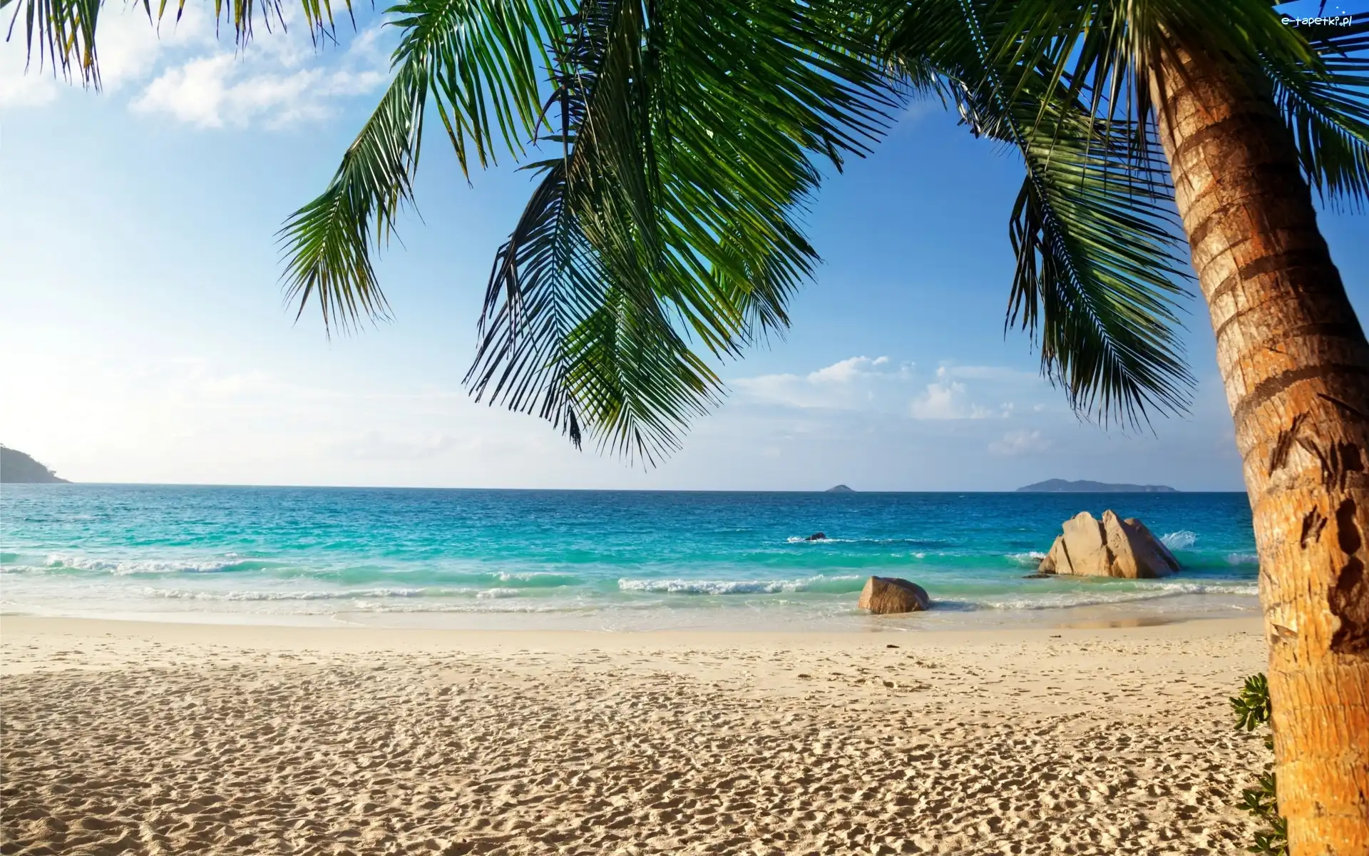 Plaża, Tropiki, Palma, Ocean