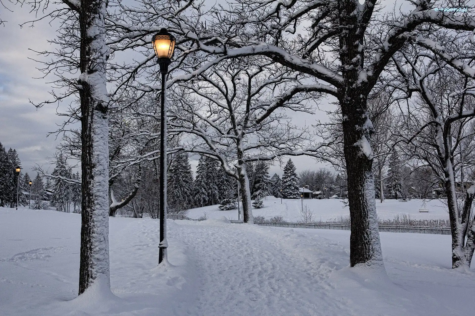 Park, Drzewa, Latarnie, Zima