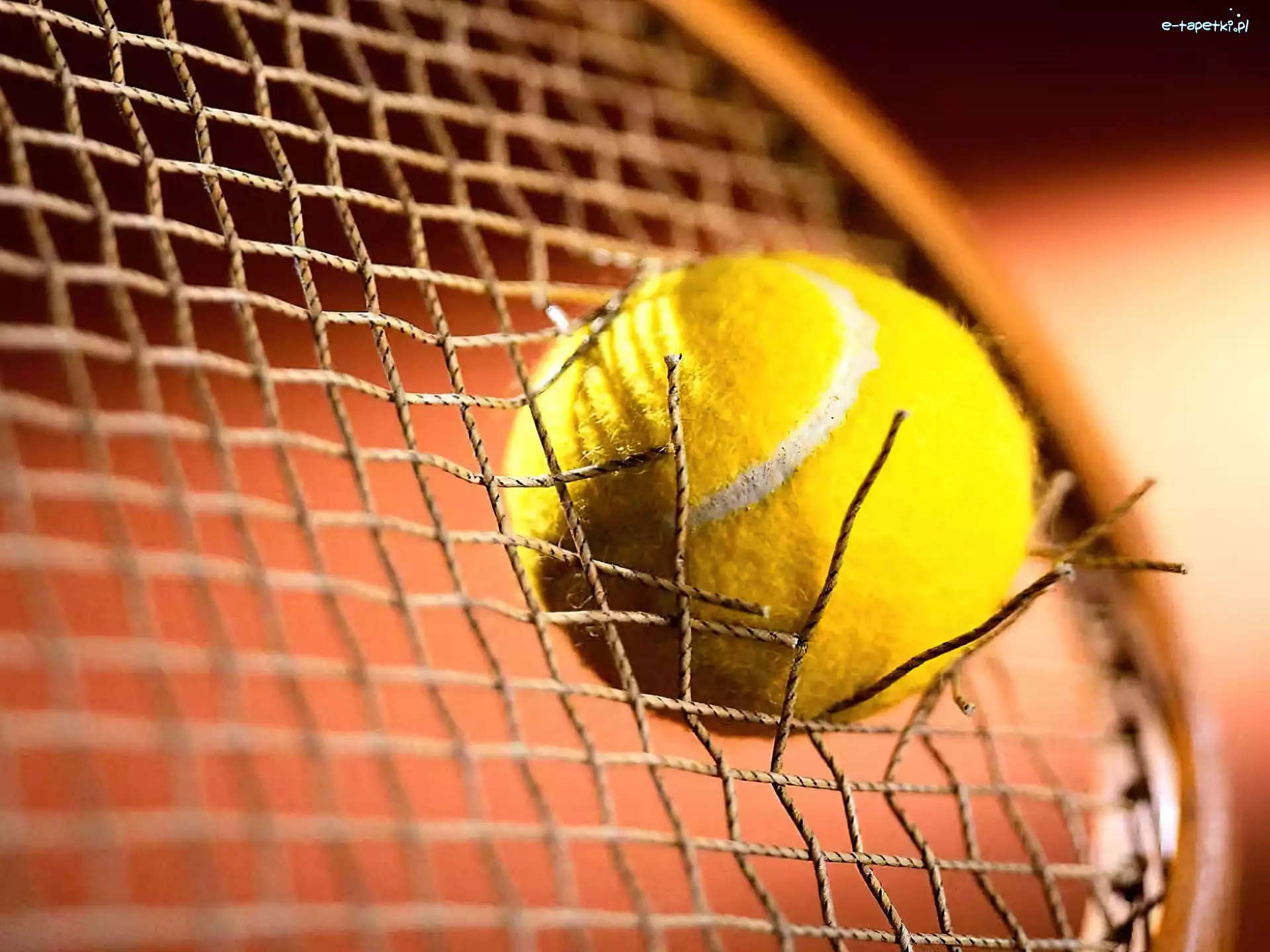 piłka do tenisa, Tennis