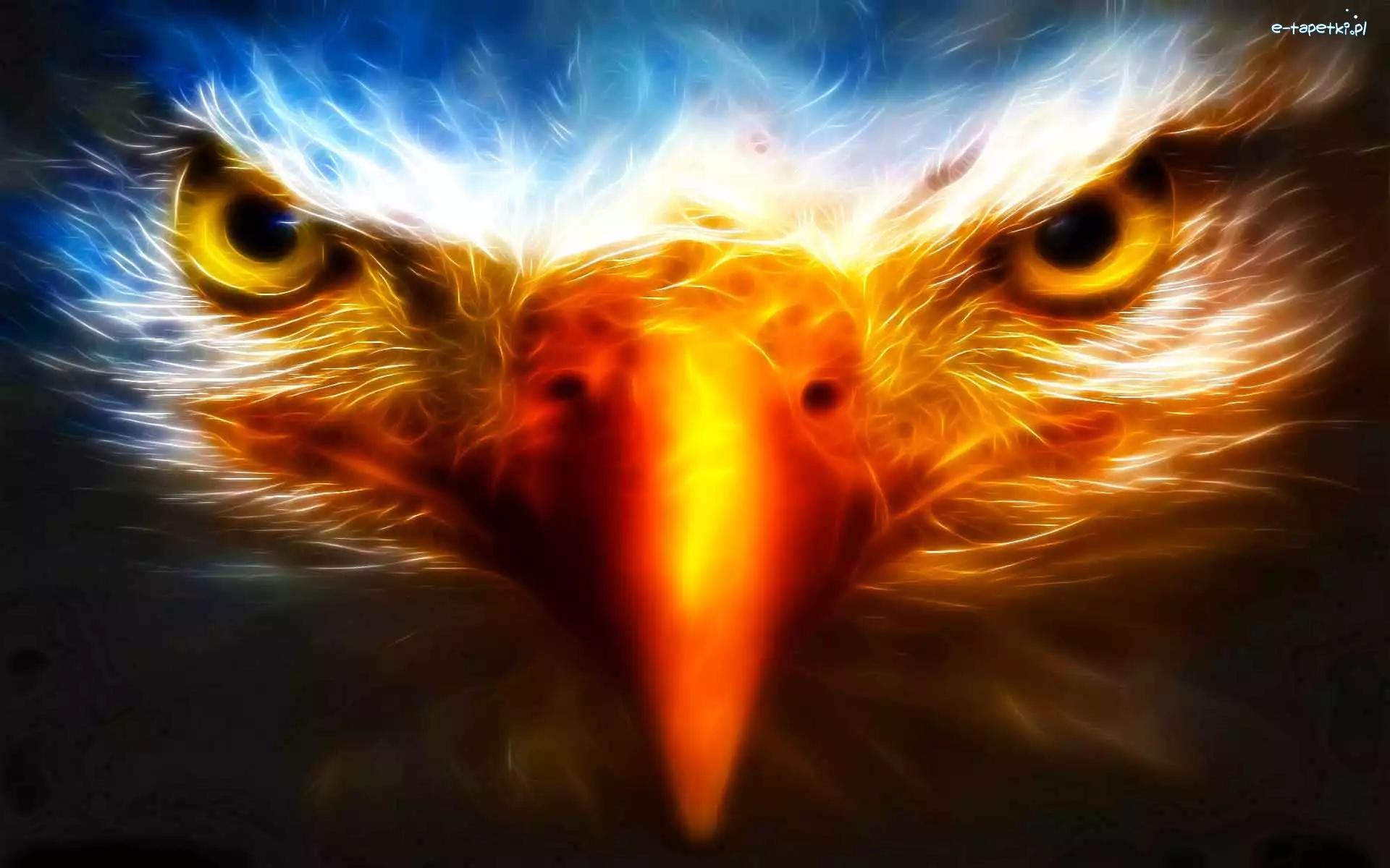 Fractalius, Orzeł