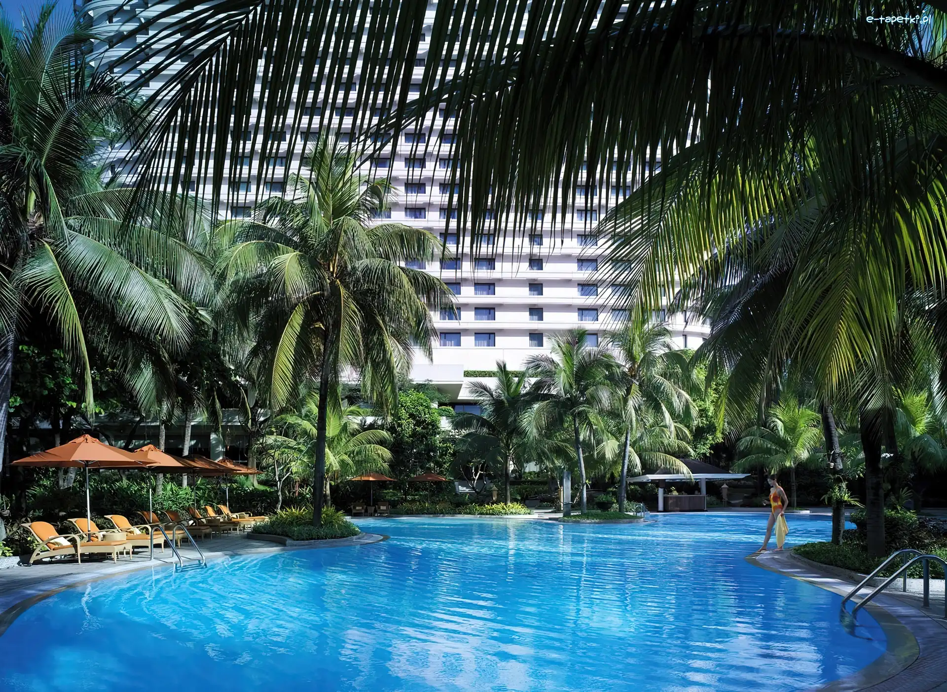Hotel, Palmy, Basen, Tajlandia, Bangkok