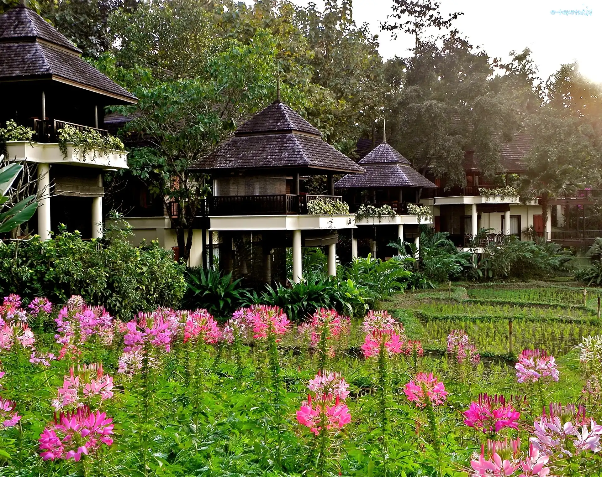 Domki, Tajlandia, Chaing Mai, Hotelowe