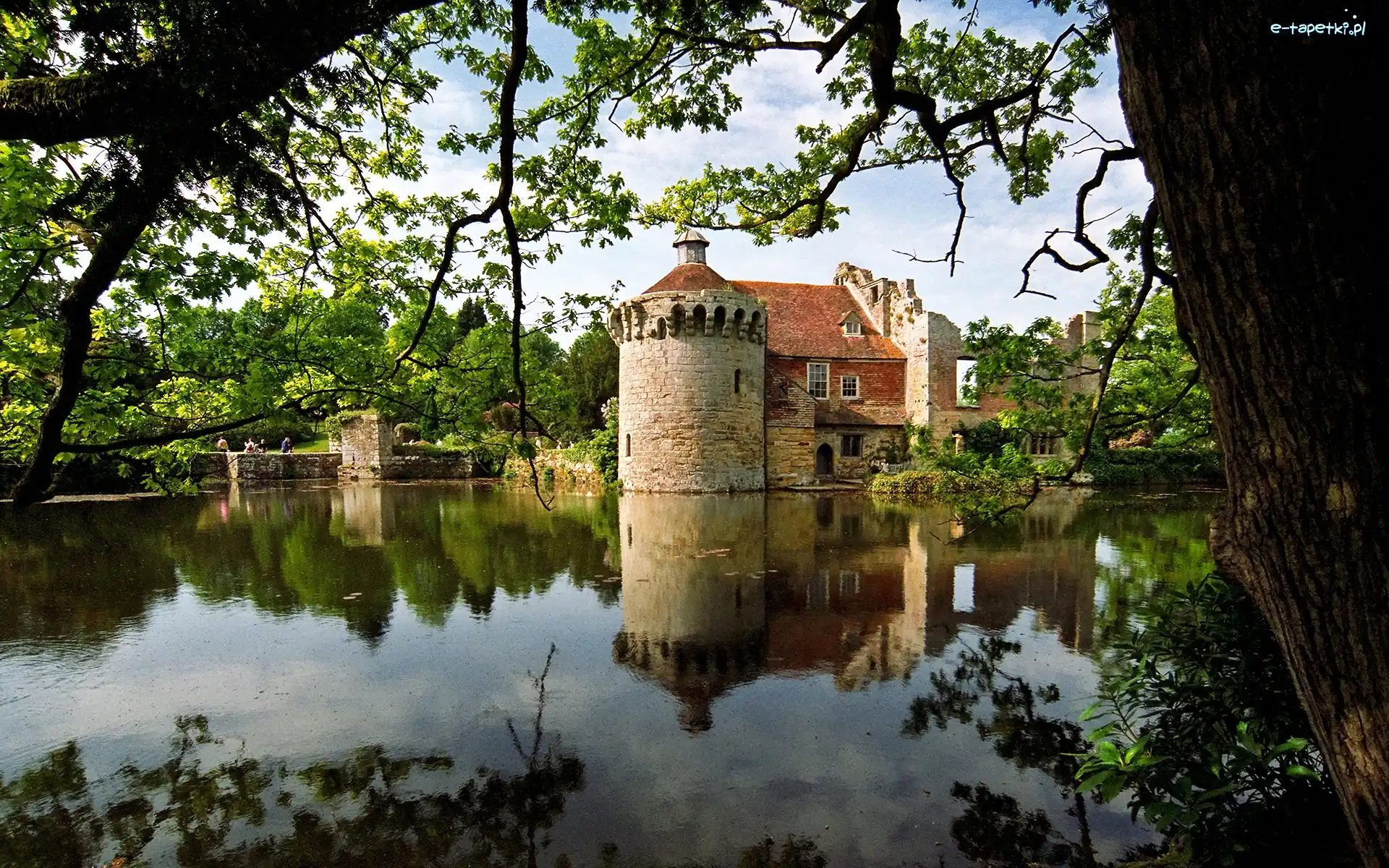 Hrabstwo Kent, Dworek, Scotney Castle, Anglia Dworek, Staw, Drzewa