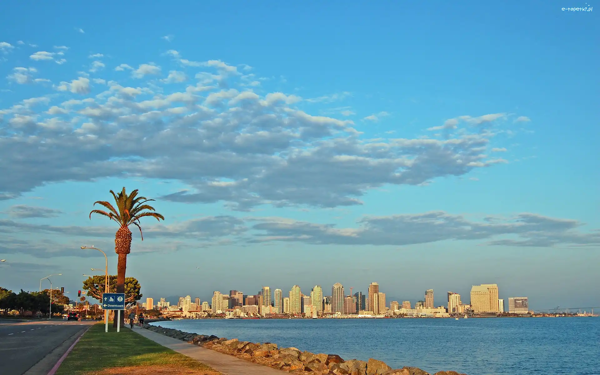 Palma, Drapacze Chmur, Ocean, Chmury, San Diego, Stany Zjednoczone