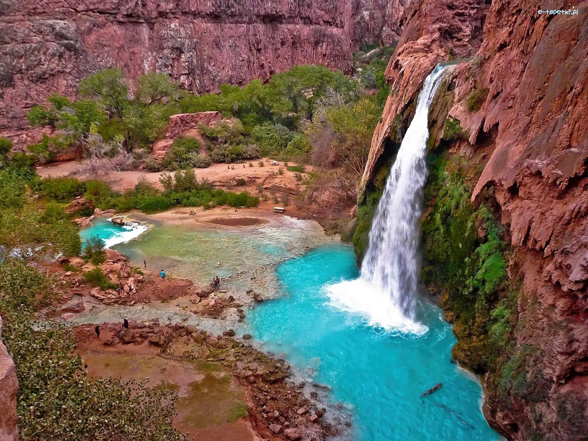 Roślinność, Potok, Skały, Arizona, Havasu, Wodospad