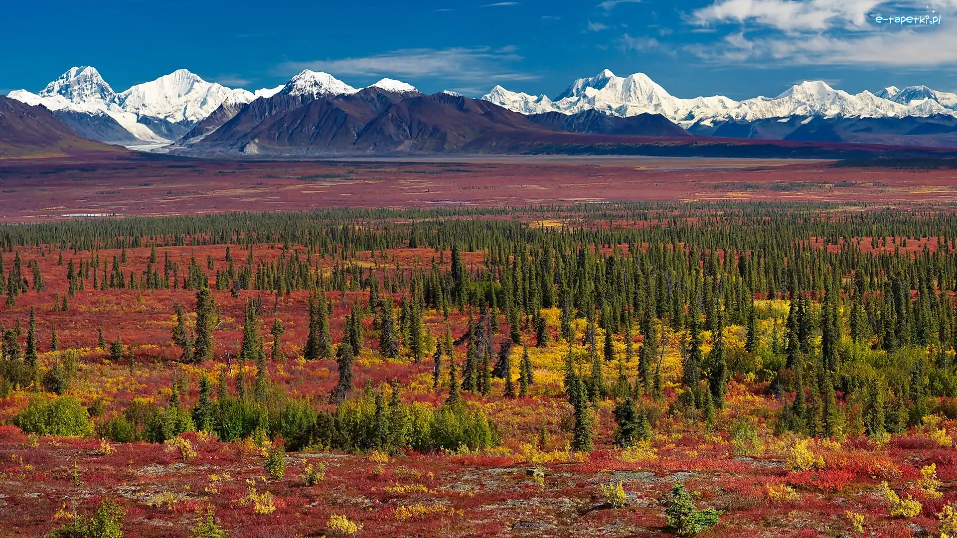 Równina, Alaska, Świerki, Góry