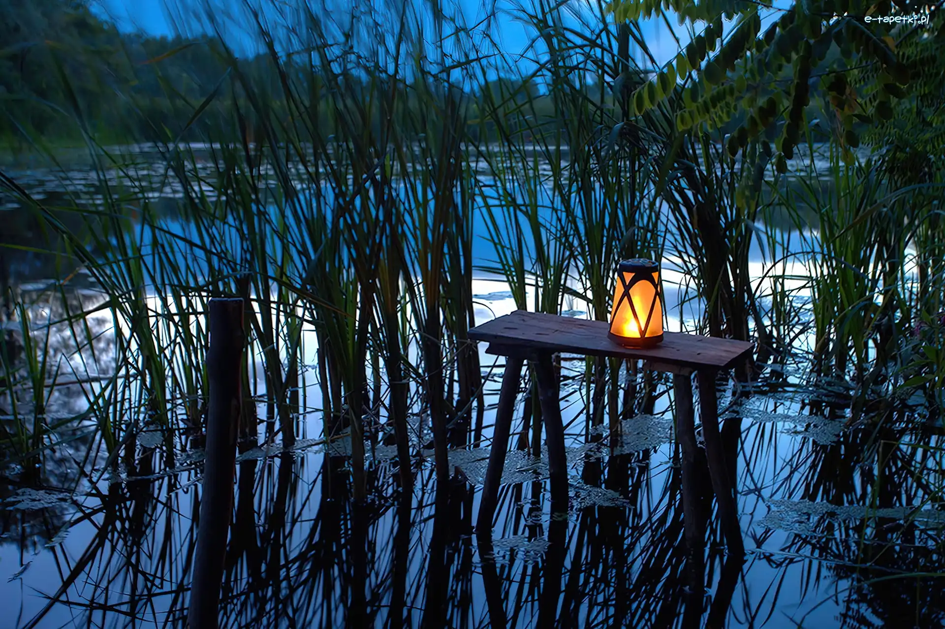 Odbicie, Suche, Trawy, Staw, Lampion, Stolik