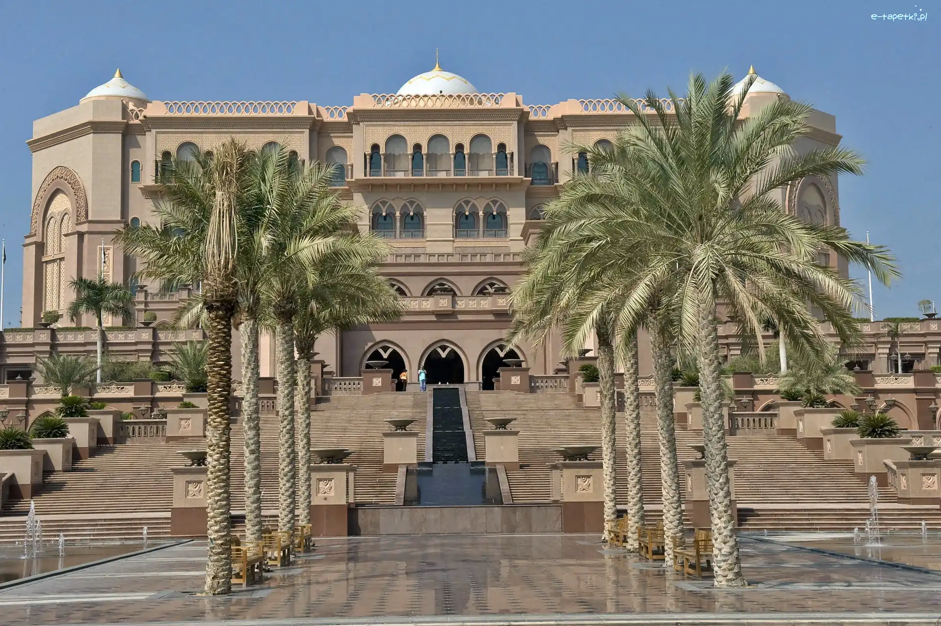 Hotel, Palace, Emirates, Abu Dhabi, Palmy