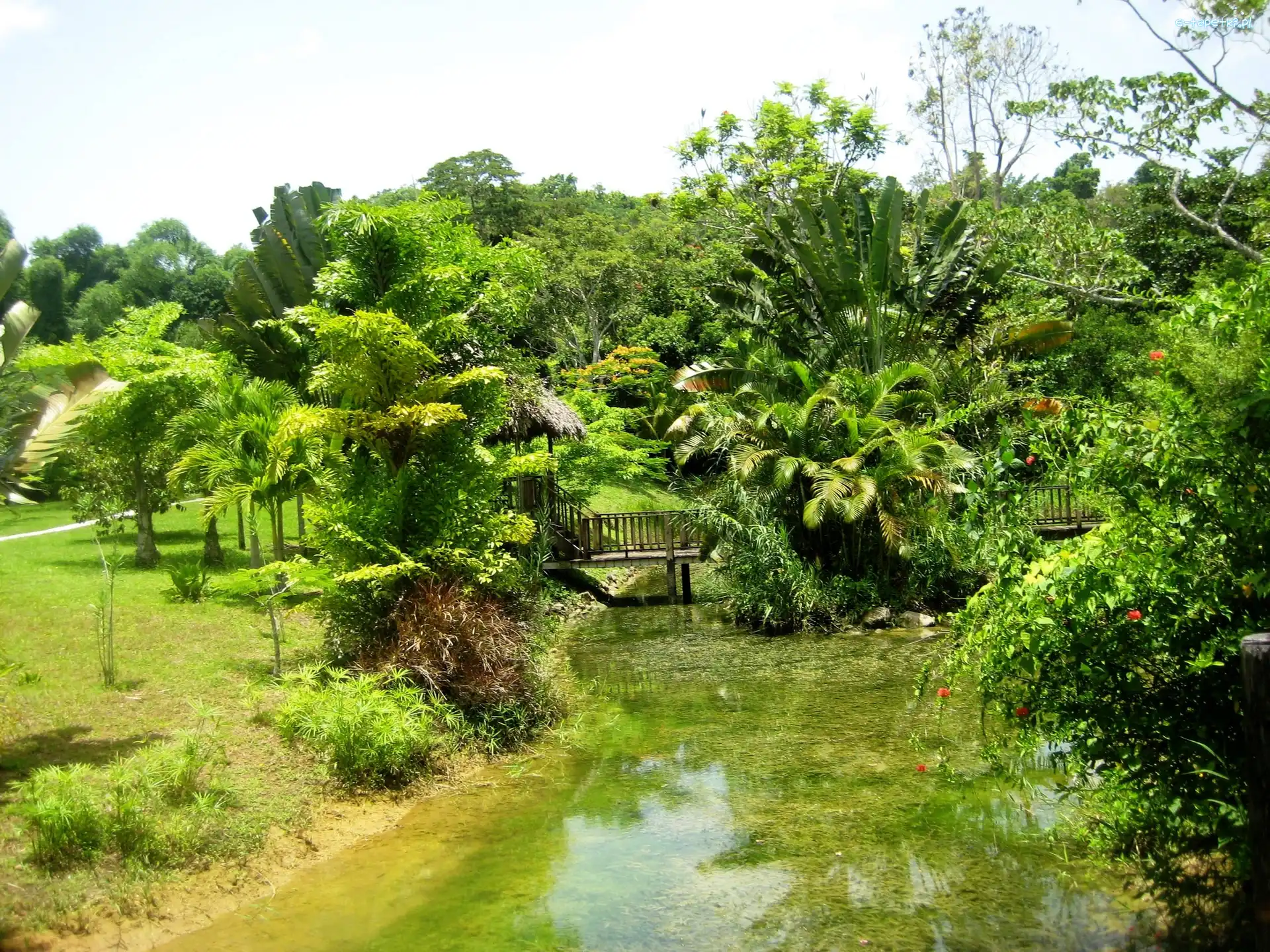 Jamajka, Park