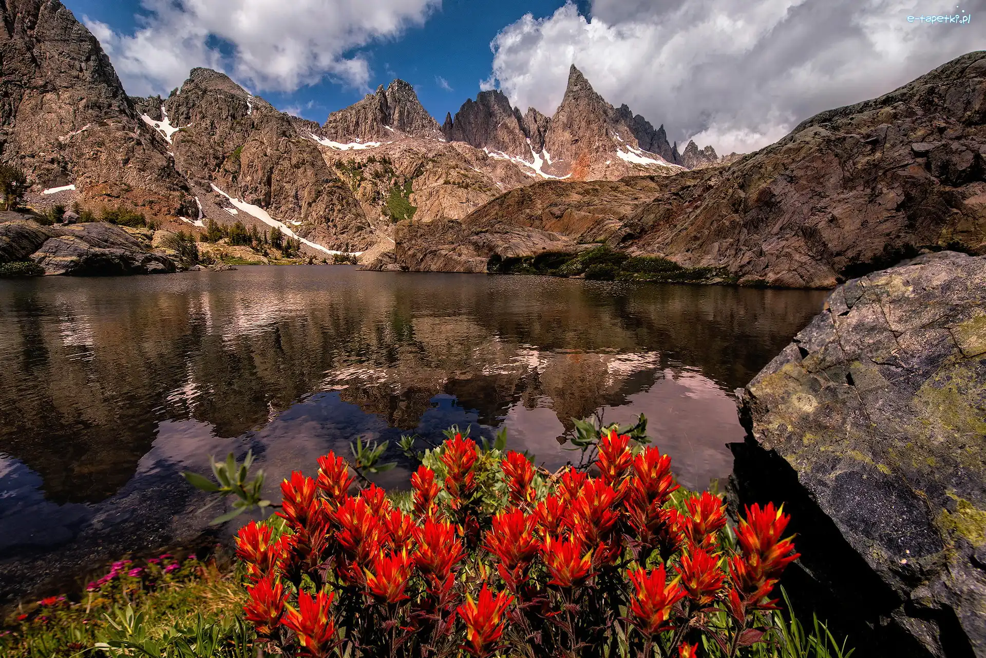 Sierra Nevada, Stan Kalifornia, Kwiaty, Czerwone, Góry, Jezioro, Minaret Lake, Stany Zjednoczone