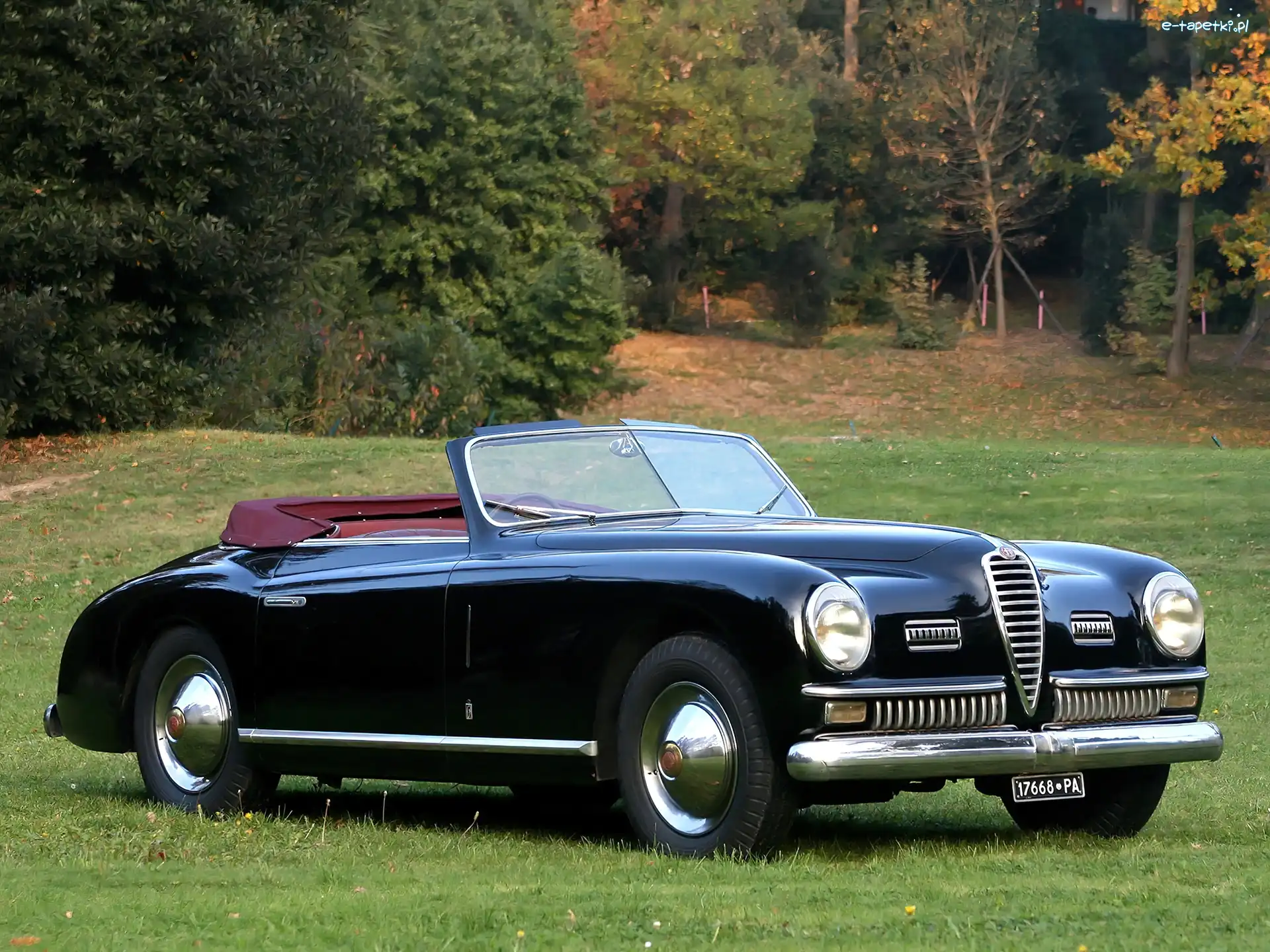 Zabytkowa, 6c, Alfa Romeo, Drzewa, Łąka