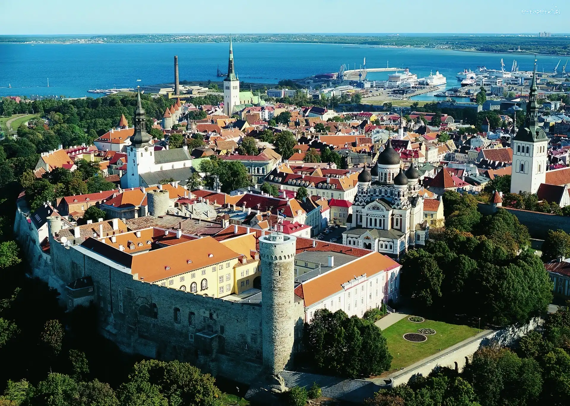 Miasto, Tallin, Estonia