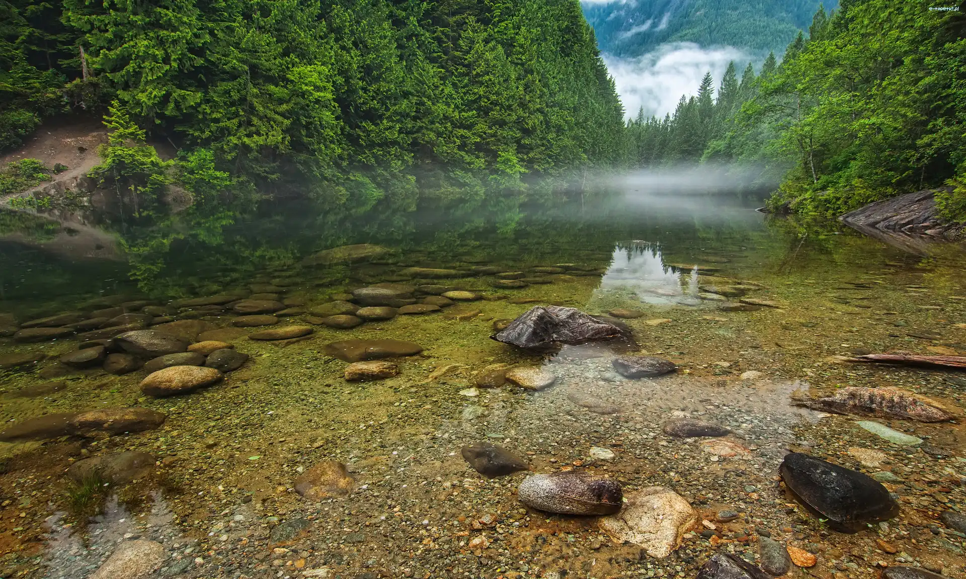 Jezioro, Mgła, Kamienie, Kanada, Las