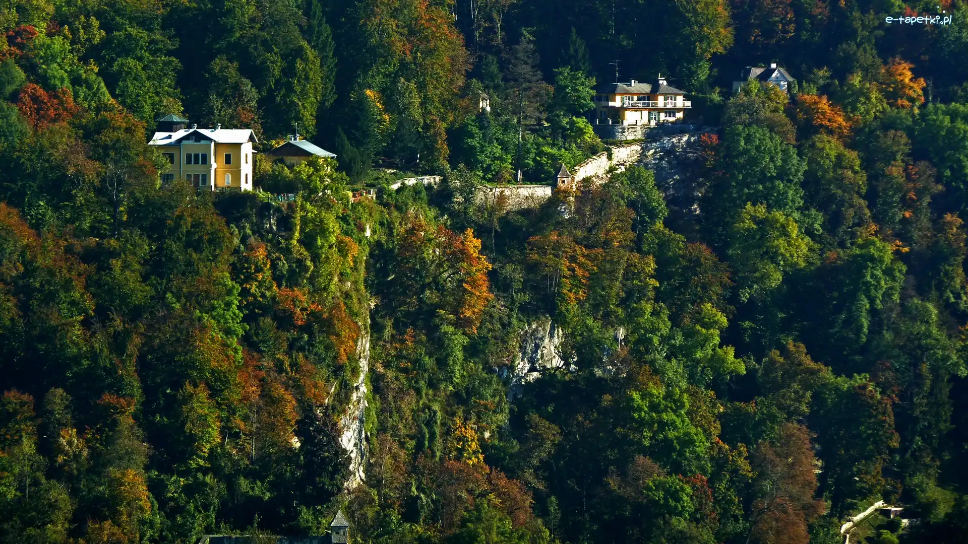 Lasy, Austria, Salzburg, Domy