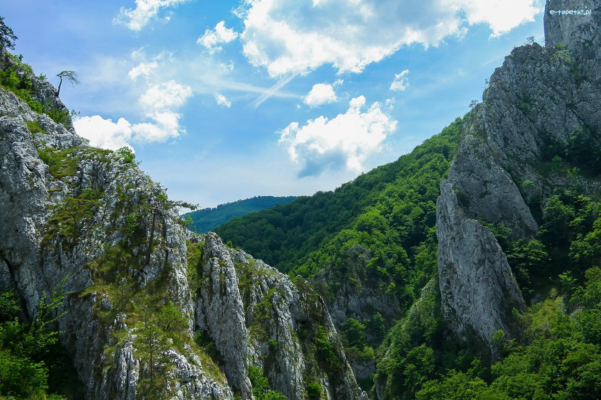 Lasy, Skały, Góry