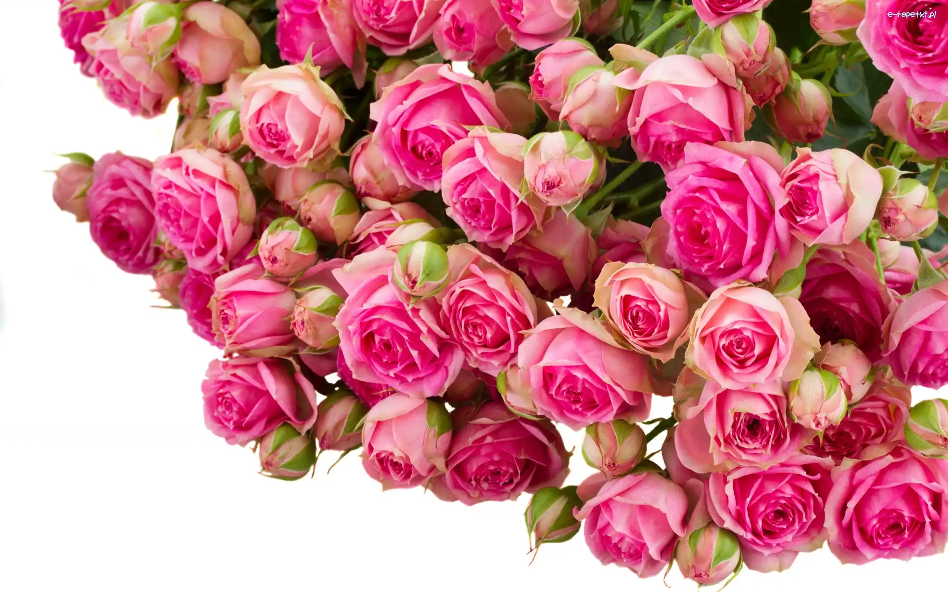 Bukiet, Roze, Rozowe, Kwiaty