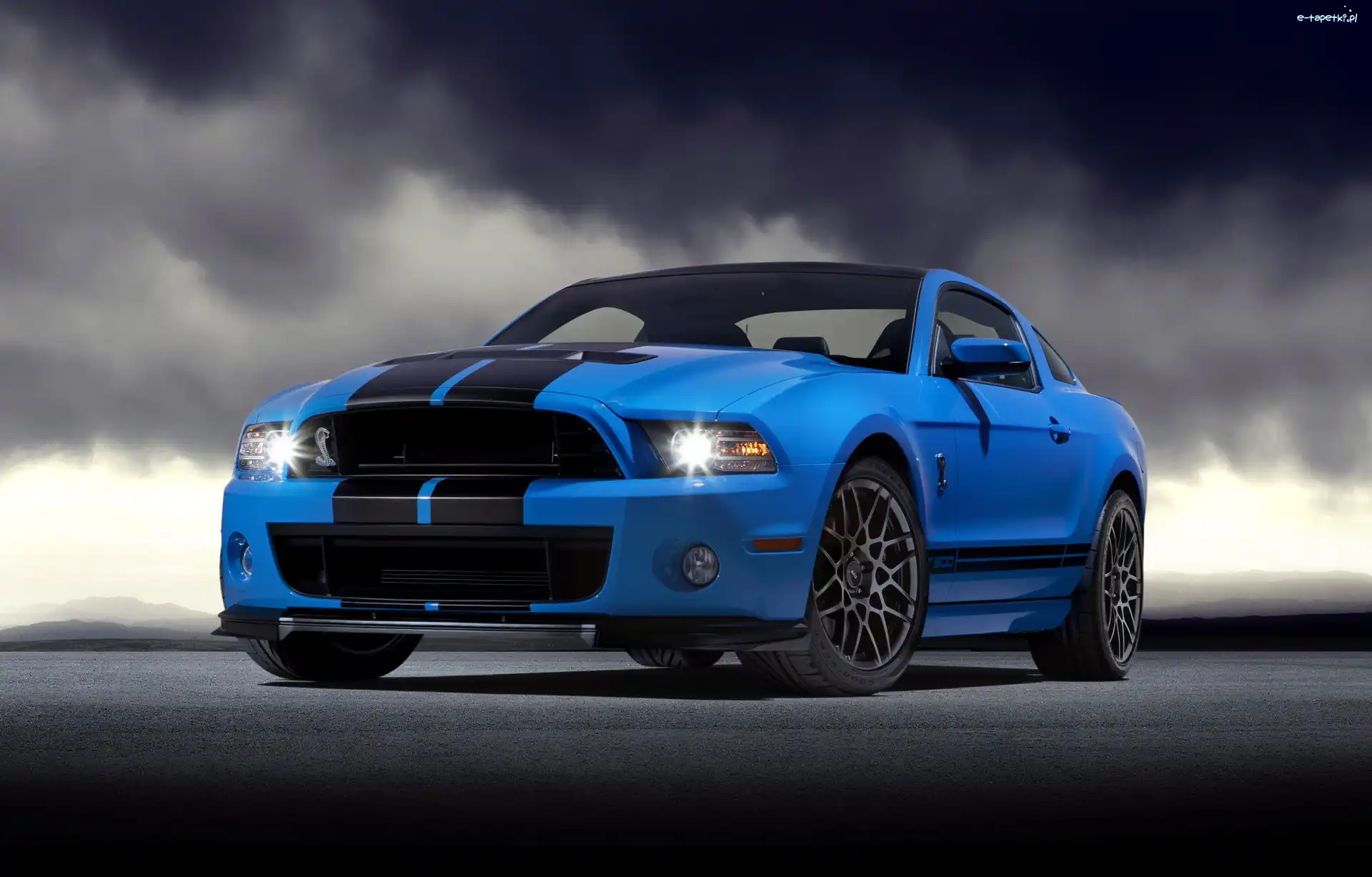 GT500, Ford Shelby