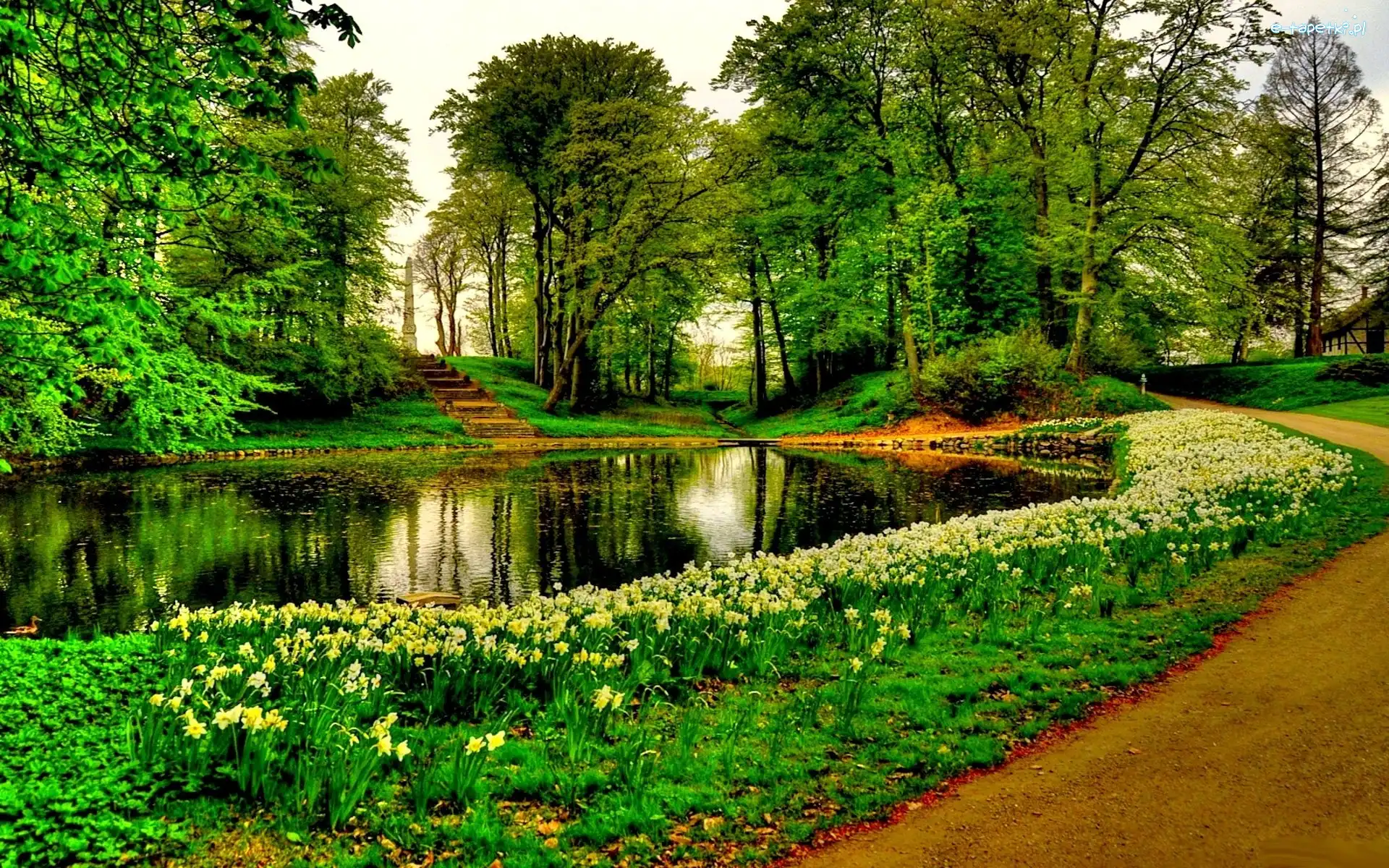 Kwiaty, Staw, Park