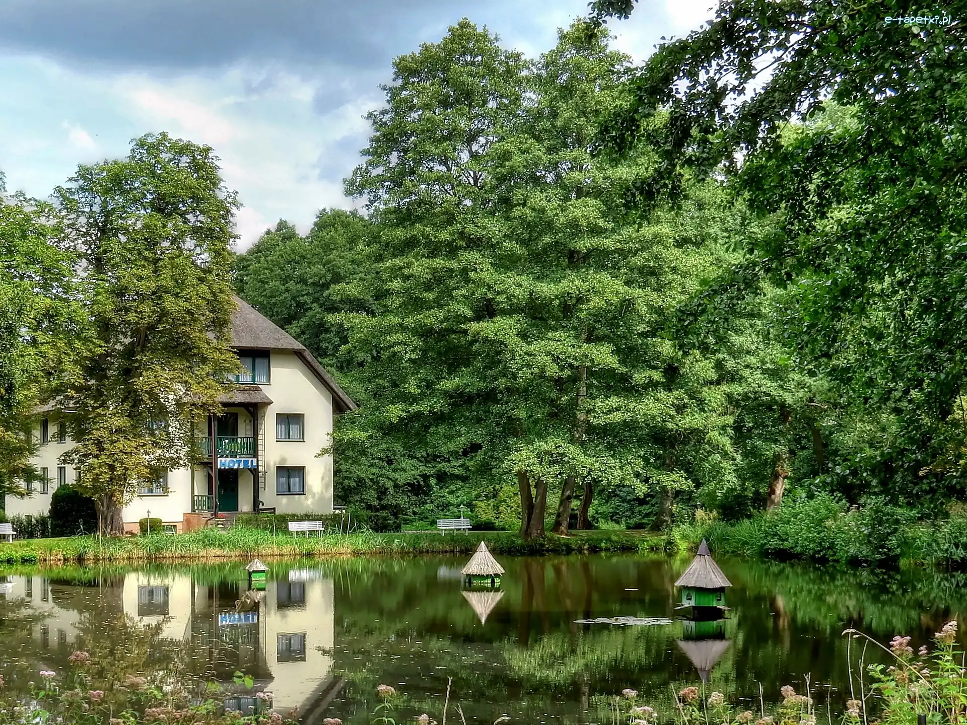 Staw, Park, Hotel