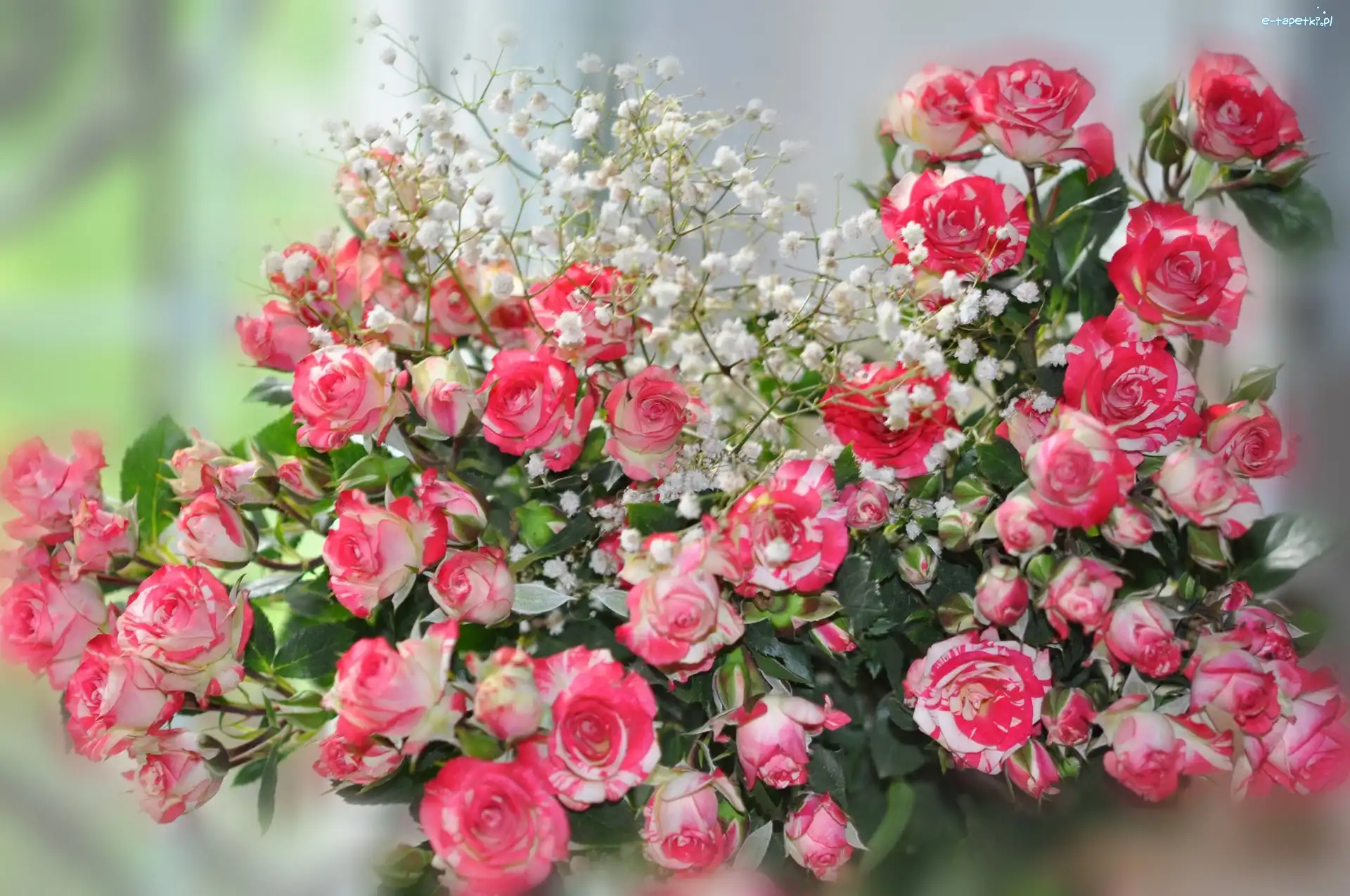 Roze, Rozowe, Bukiet