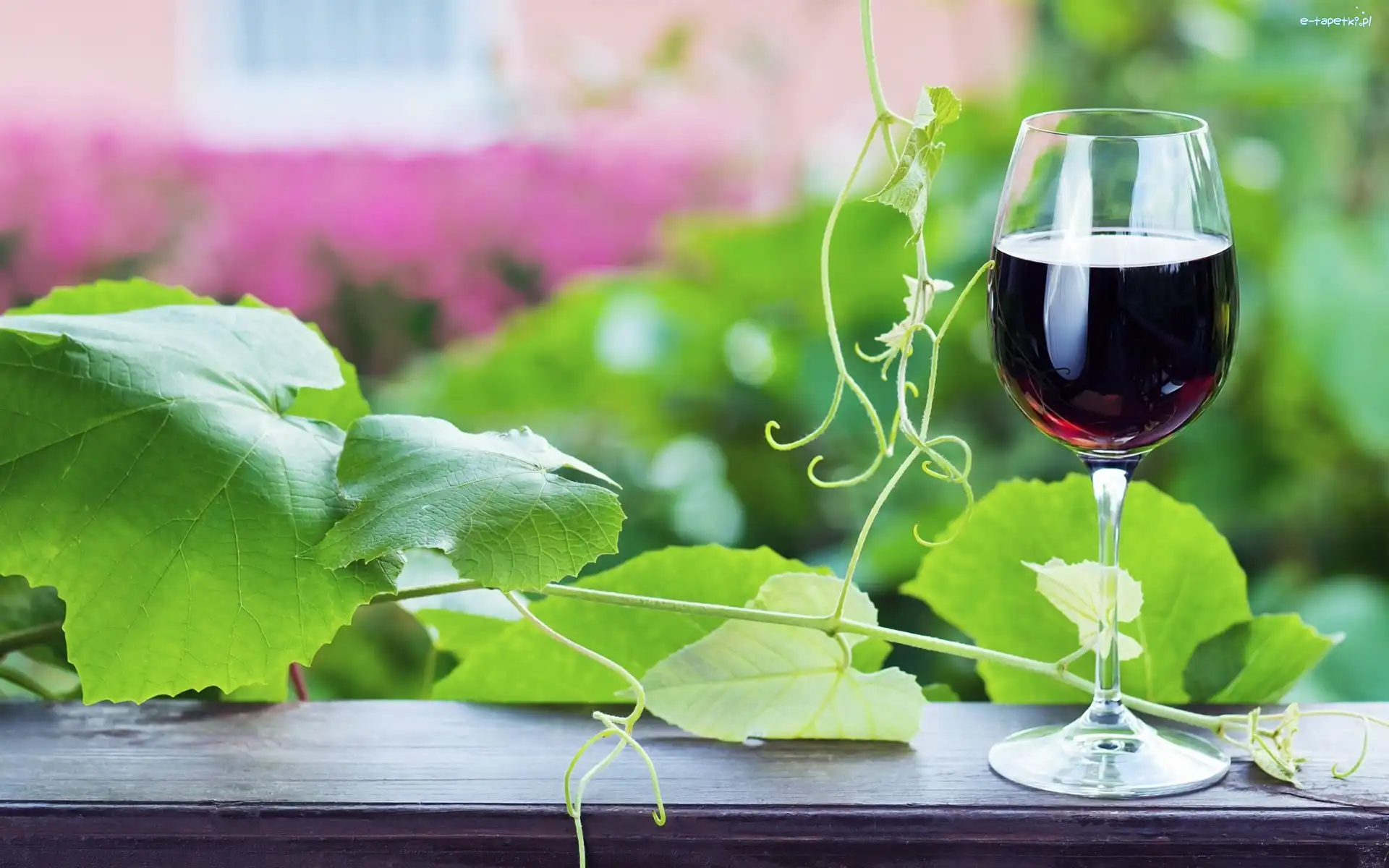 Wino, Liście, Pnącze, Kieliszek