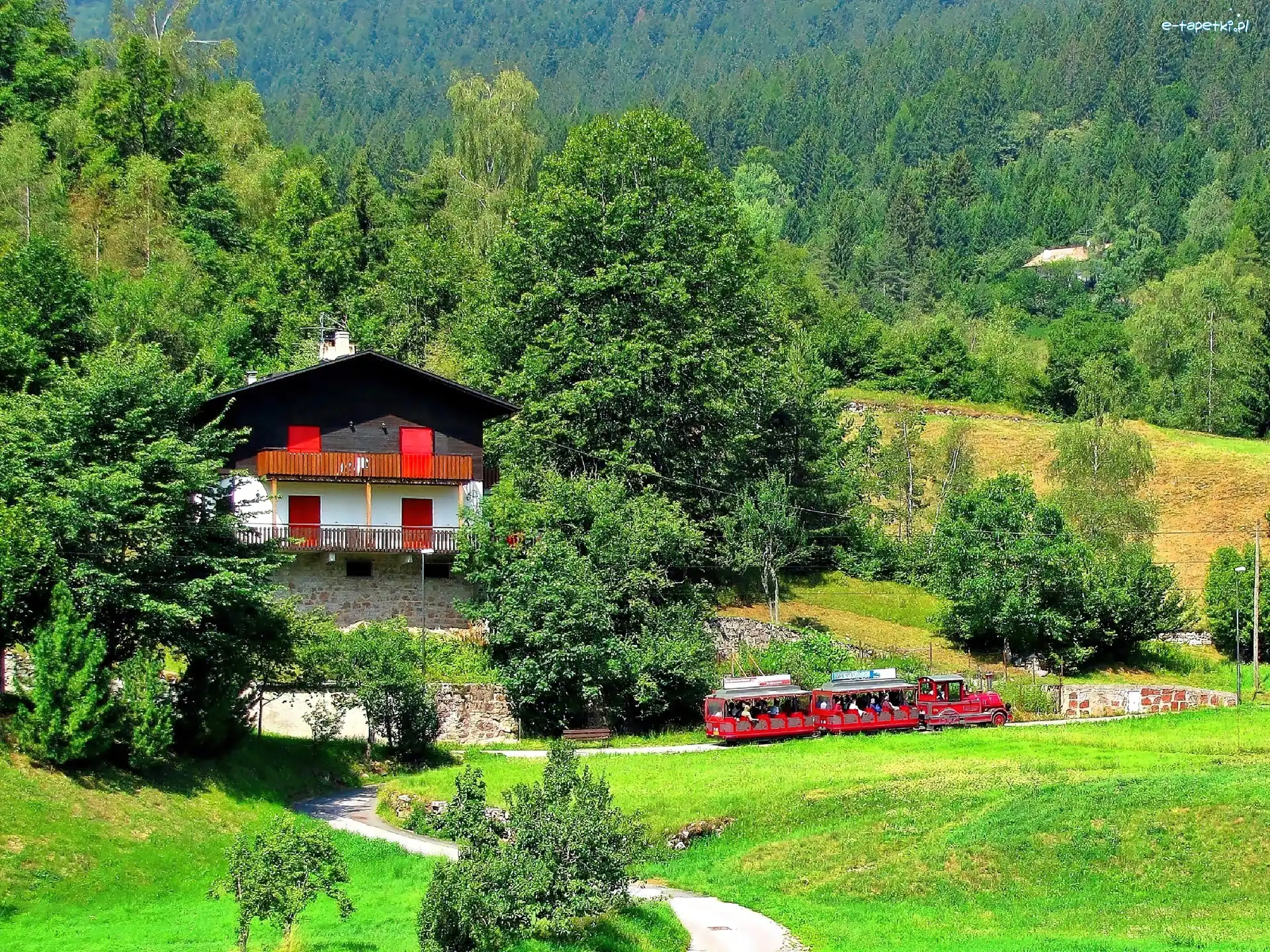 Ciuchcia, Las, Dom, Andalo, Dolomity, Góry