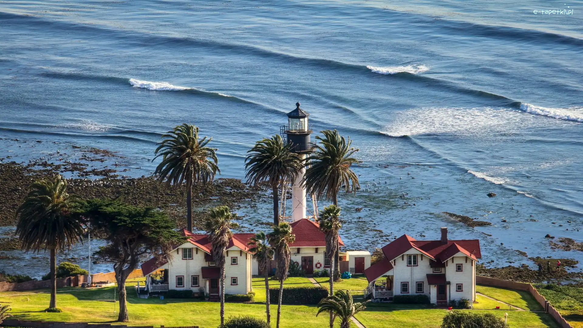 Latarnia Morska, Ocean, Palmy, Domy, San Diego, Stany Zjednoczone