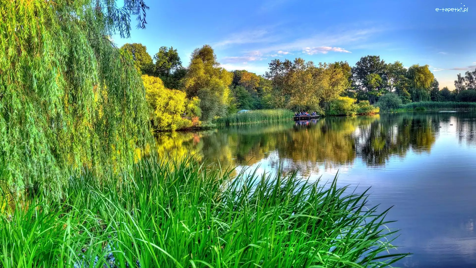 Trawa, Las, Jezioro