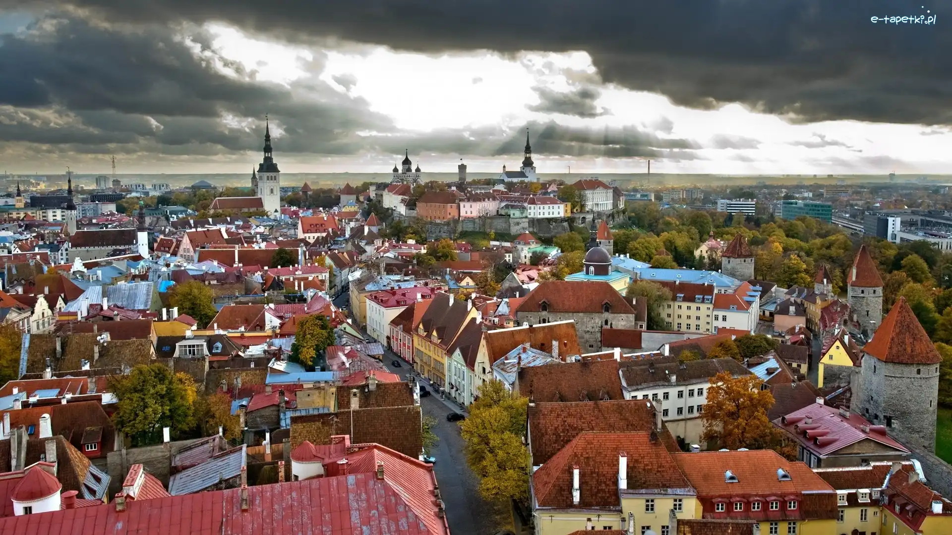 Miasto, Tallin, Estonia