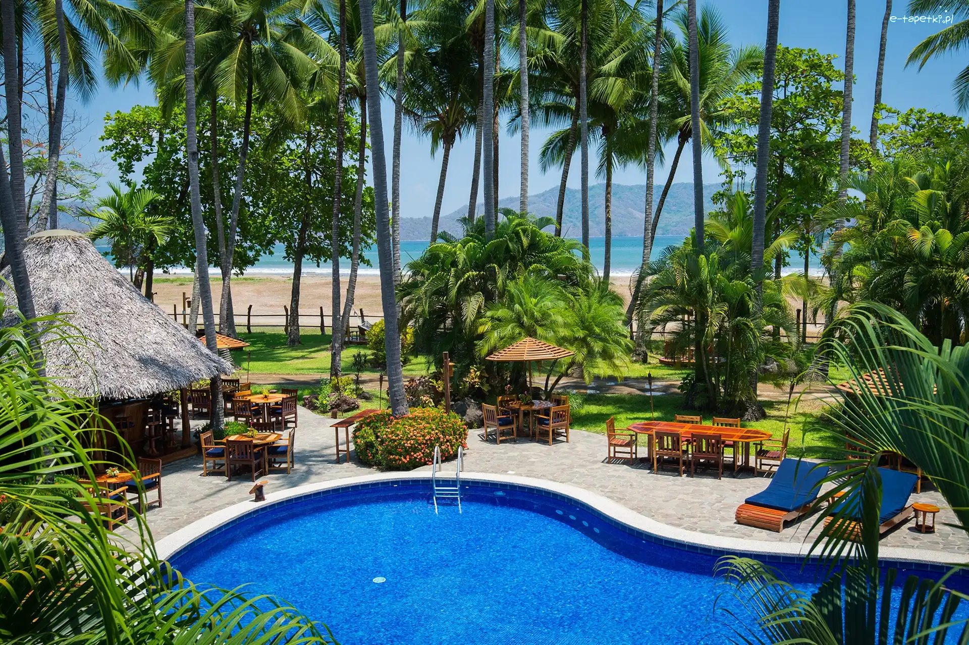 Palmy, Basen, Hotel