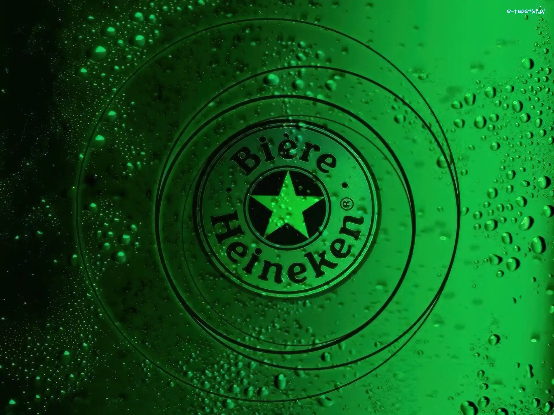 Heineken, Piwo