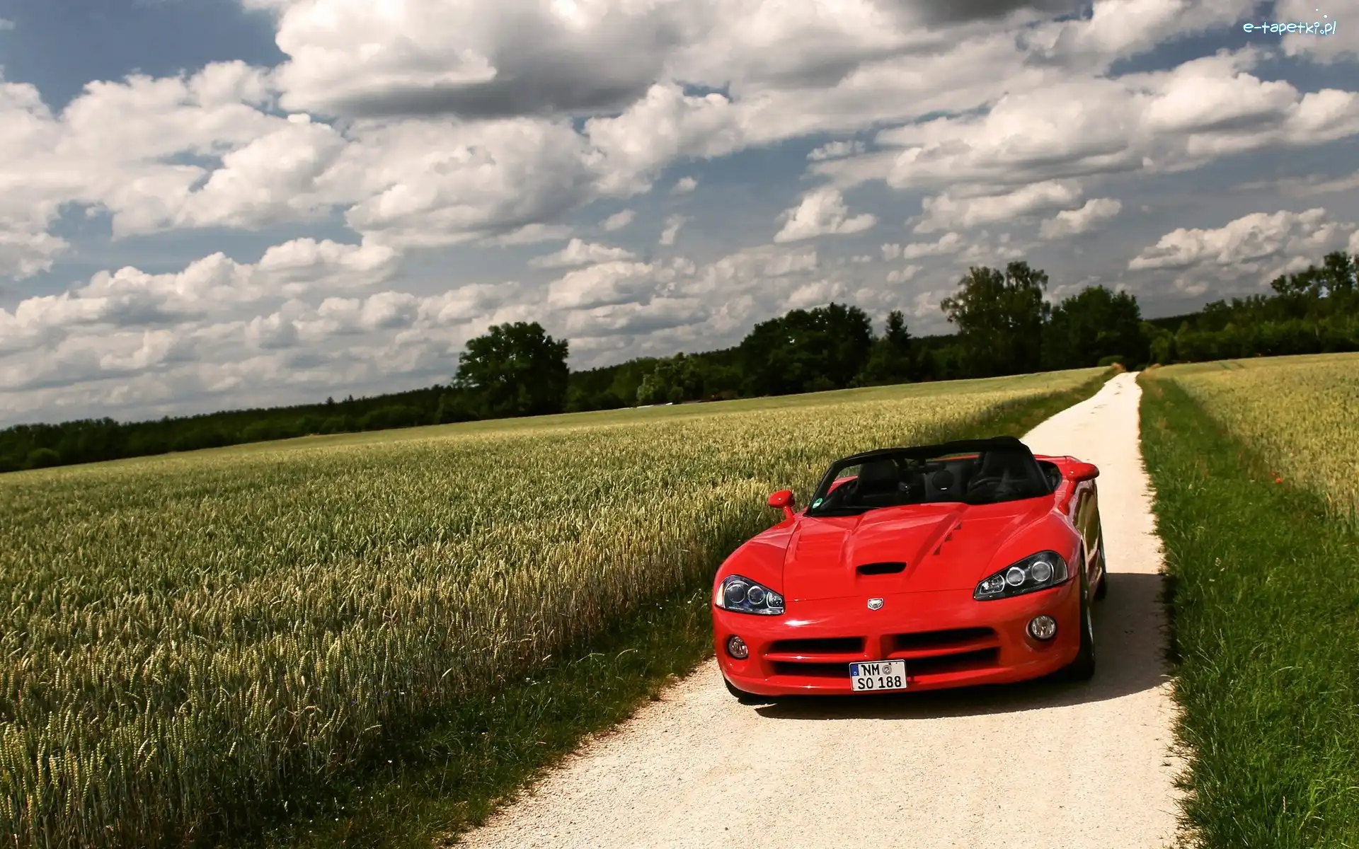 Dodge Viper, Pole, Droga, Czerwony