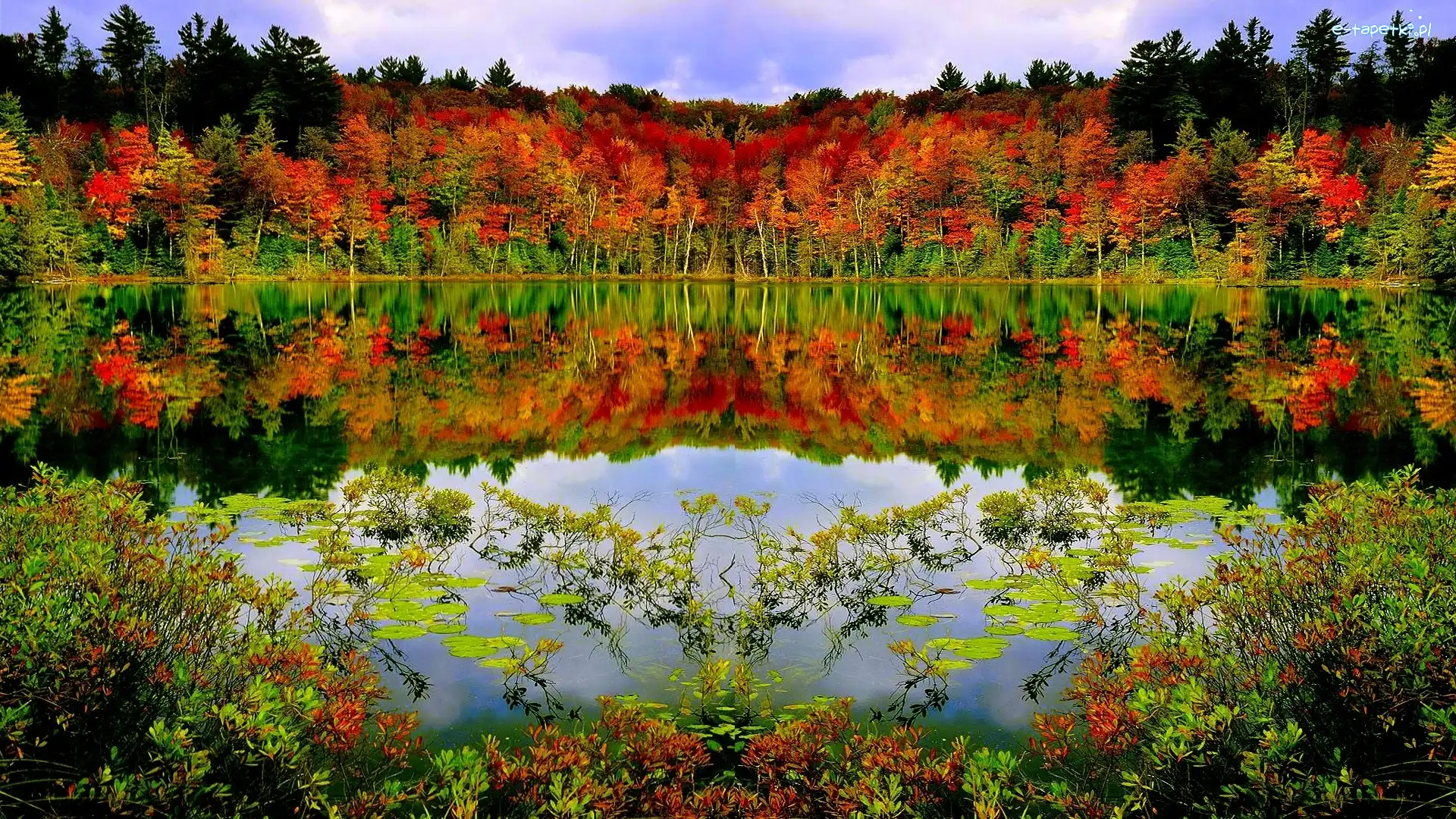 Las, Jezioro, Jesień