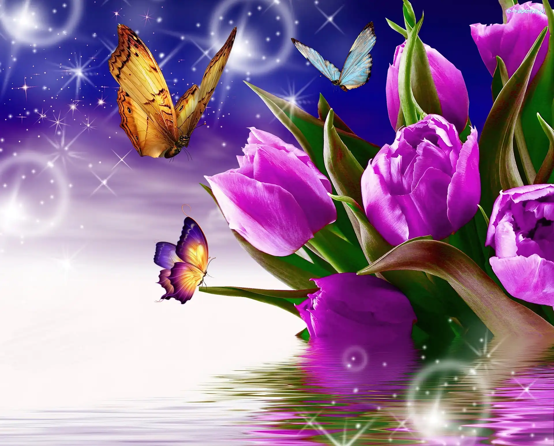Fioletowe, Motyle, Tulipany, Wektorowa, 3D