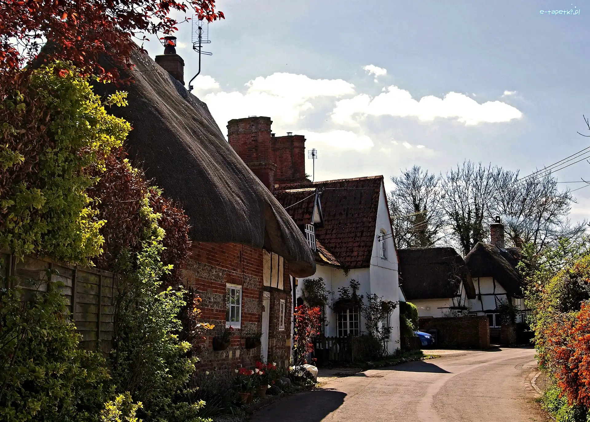 Droga, Anglia, Wieś Nether Wallop, Domy